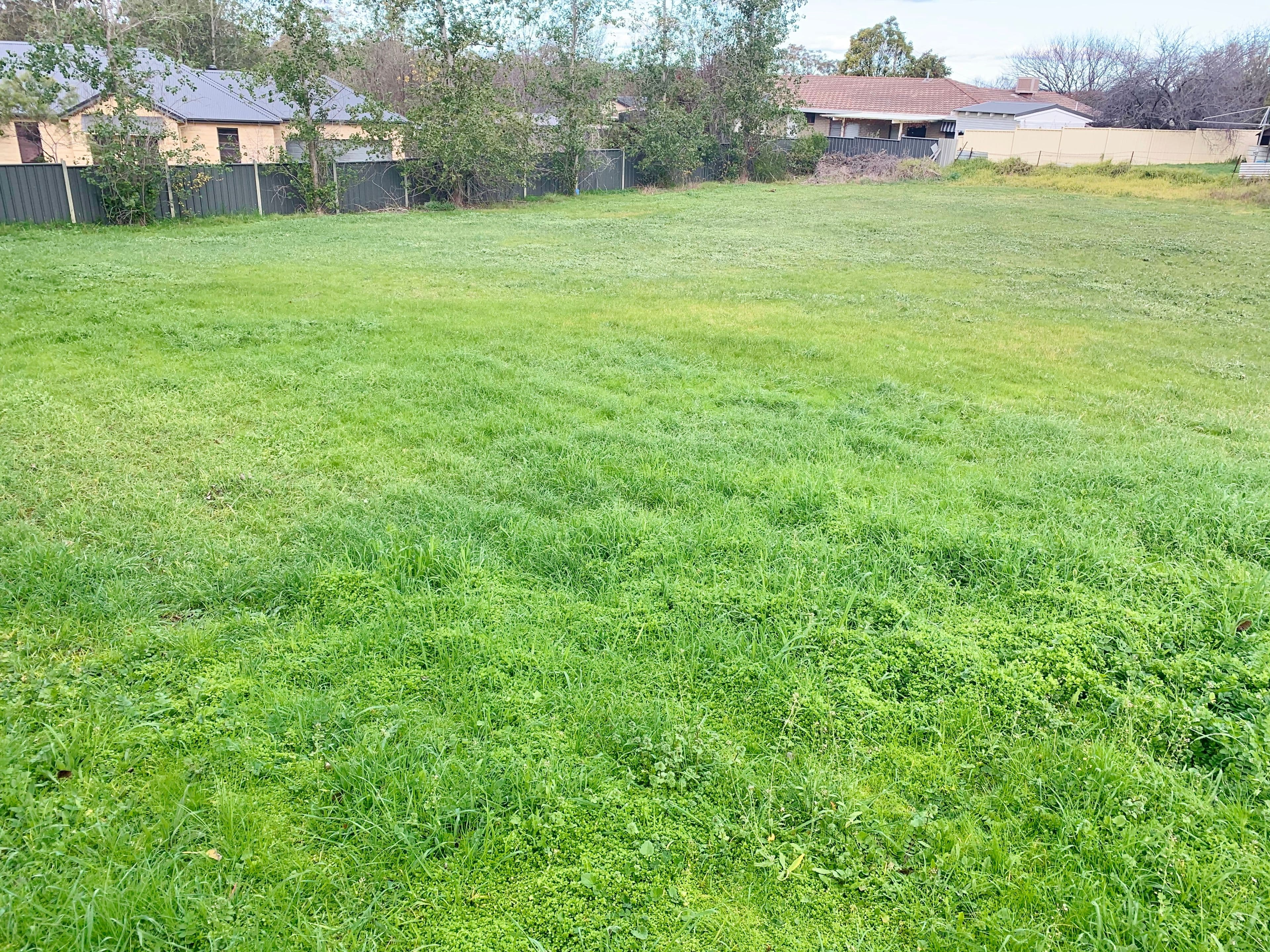57 Fontenoy Street, Young NSW 2594, Young - Thumbnail 3