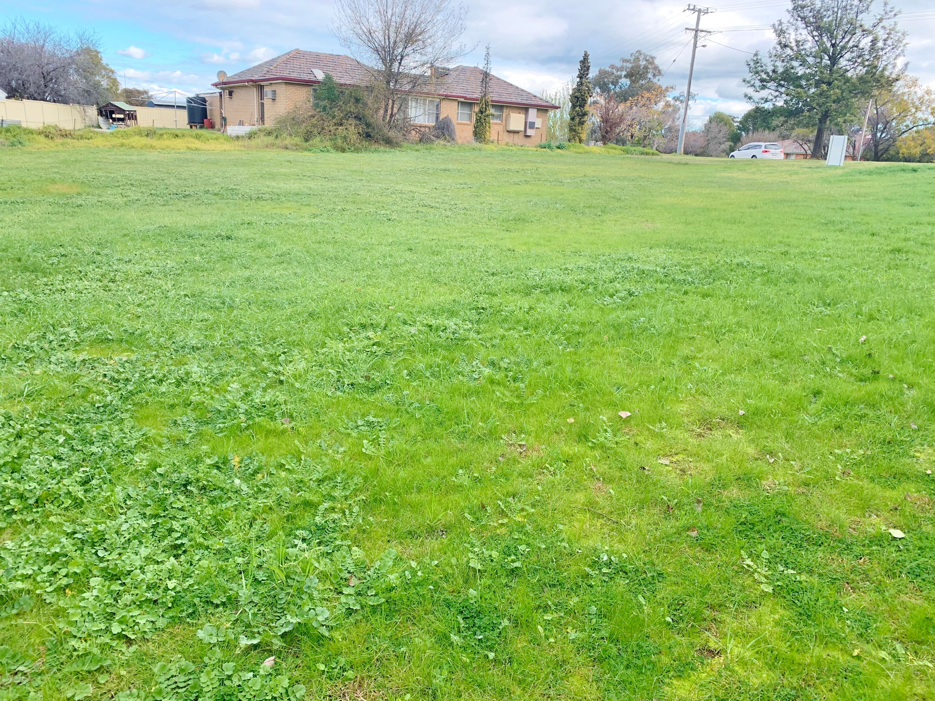 57 Fontenoy Street, Young NSW 2594, Young - Thumbnail 4