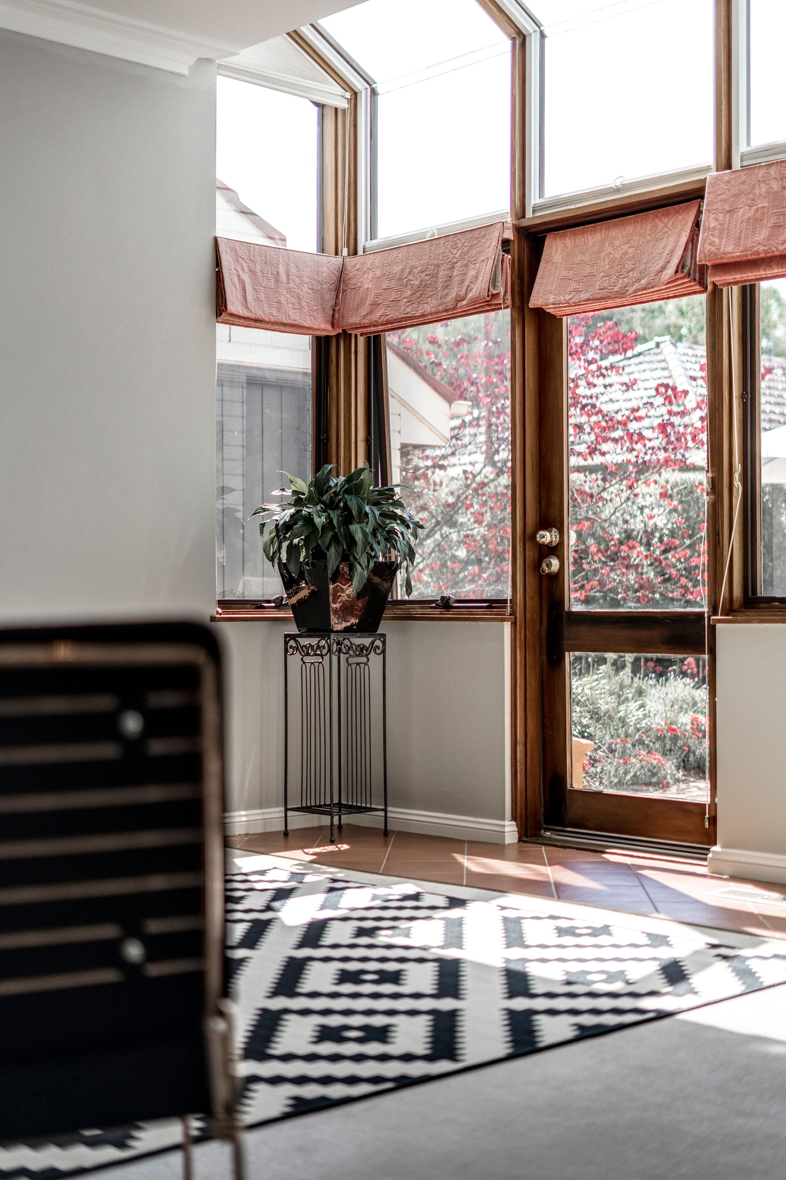 19 Hooker Street, Yarralumla ACT 2600, Yarralumla - Thumbnail 4