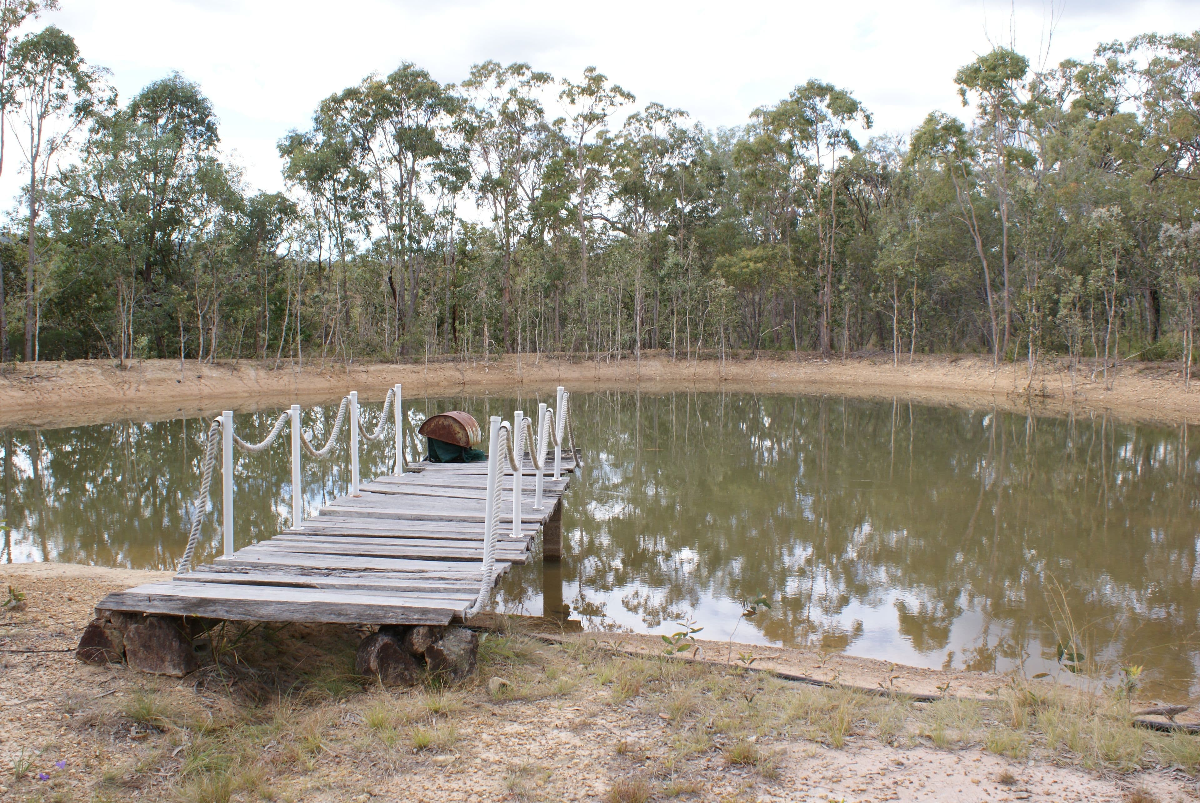 619 Murphy Road, Captain Creek QLD 4677, Captain Creek - Thumbnail 3