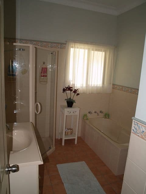 377 Scotts Creek, MORGAN SA 5320, Morgan - Thumbnail 5