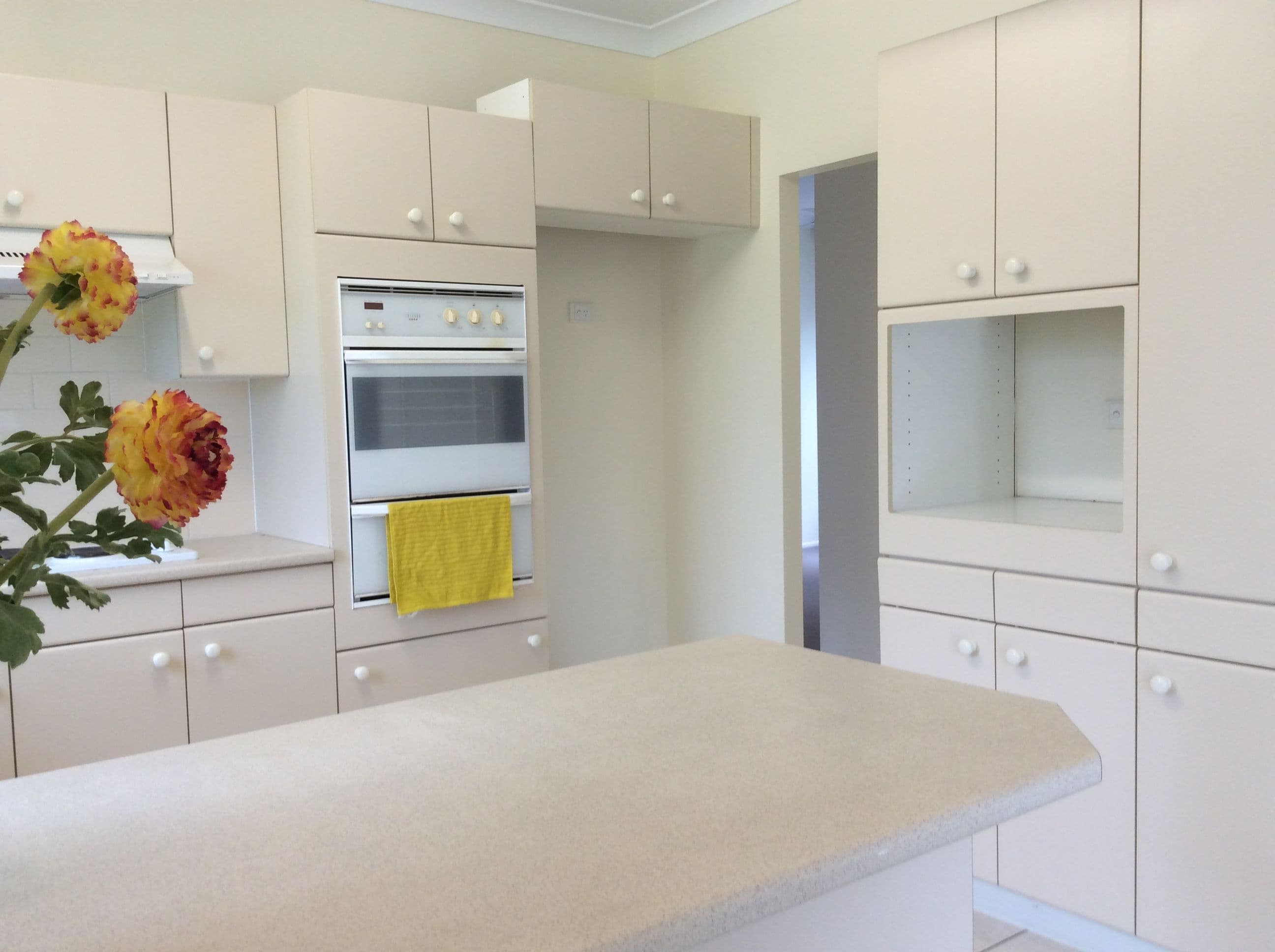 7 Kearney Court, Annandale QLD 4814, Annandale - Thumbnail 3