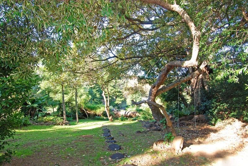 6 Pearce Place, KIAMA NSW 2533, Kiama - Thumbnail 8