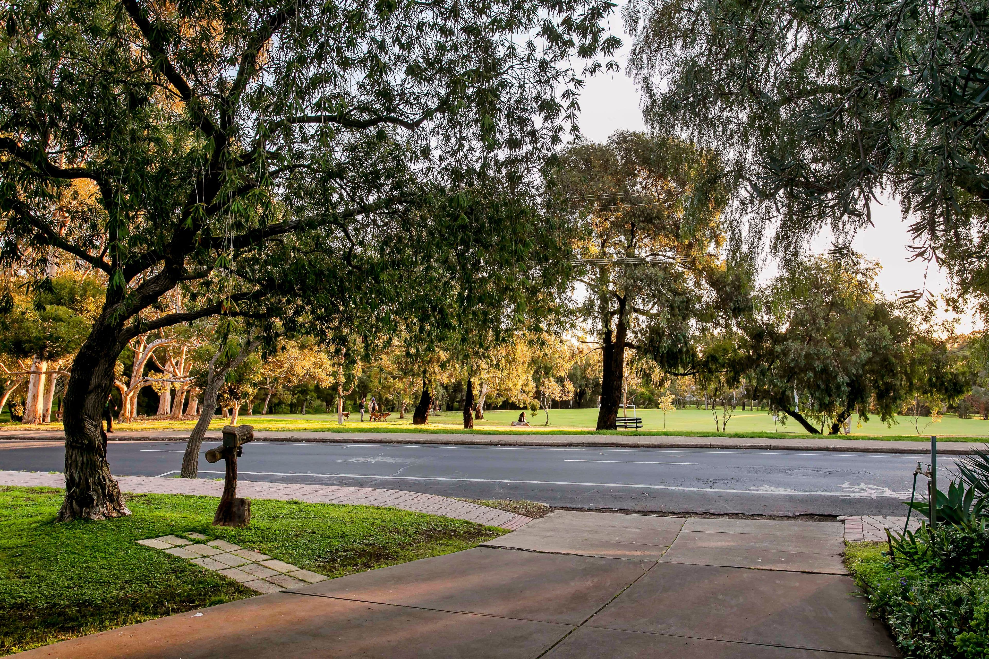101 Eliza Place, Panorama SA 5041, Panorama - Thumbnail 3