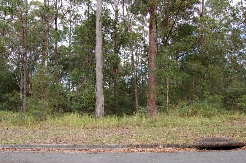 99 Tallgum Avenue, DOONAN QLD 4562, Doonan - Image 1