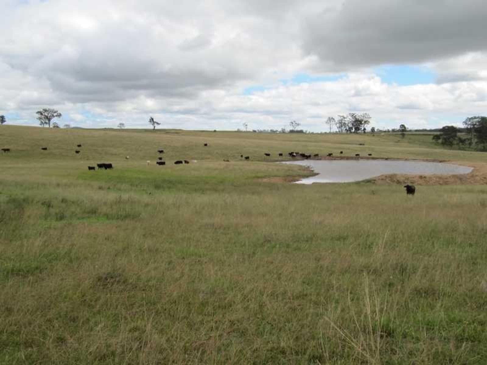 Long Swamp Road Elbow Valley QLD 4373, Long Swamp Road Elbow Valley - Thumbnail 4