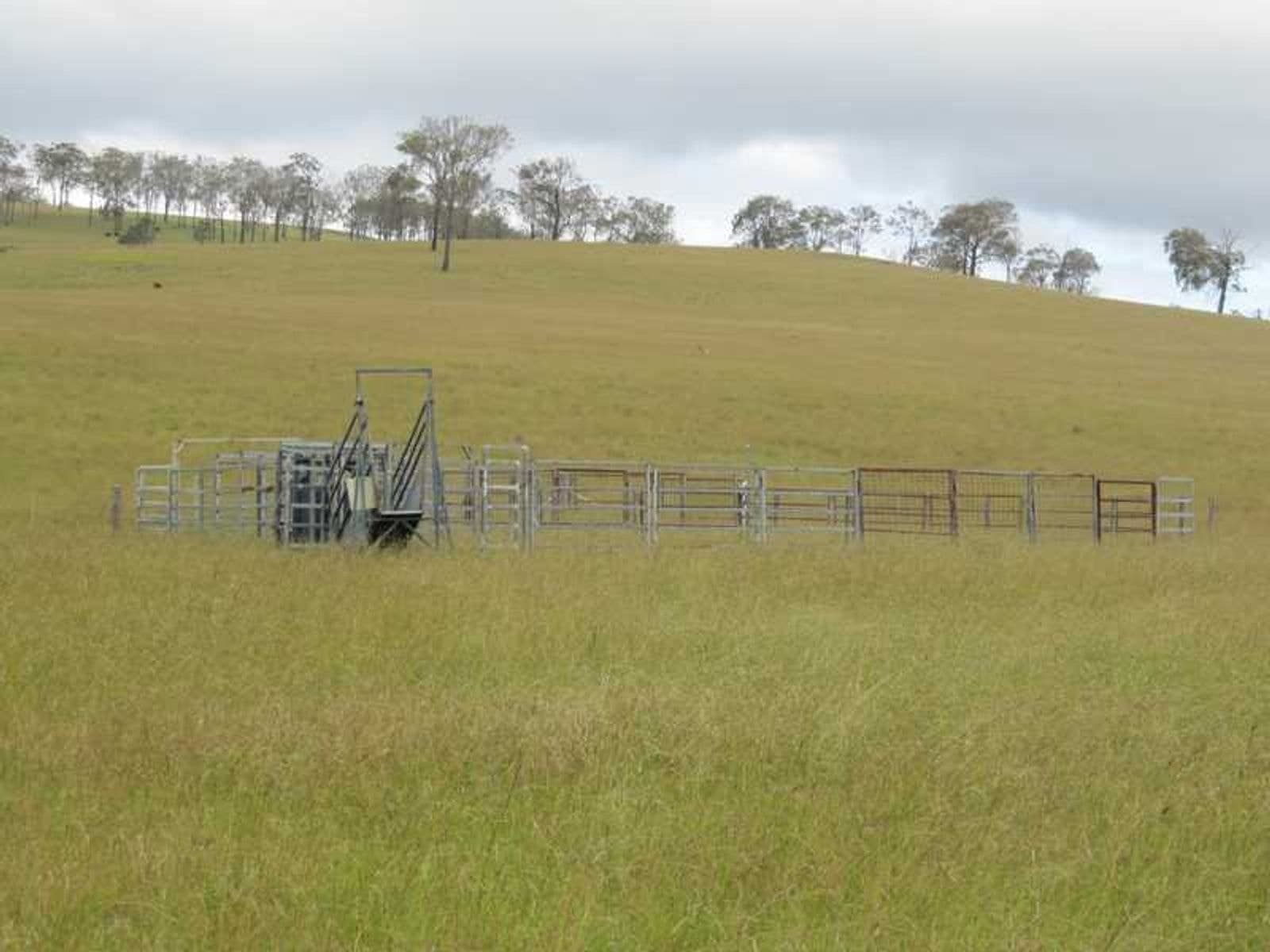 Long Swamp Road Elbow Valley QLD 4373, Long Swamp Road Elbow Valley - Thumbnail 5