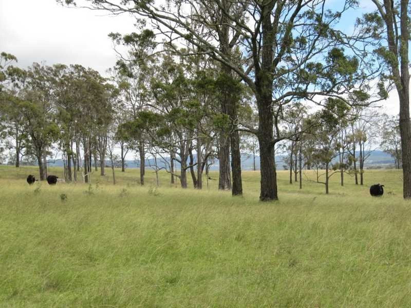 Long Swamp Road Elbow Valley QLD 4373, Long Swamp Road Elbow Valley - Thumbnail 6