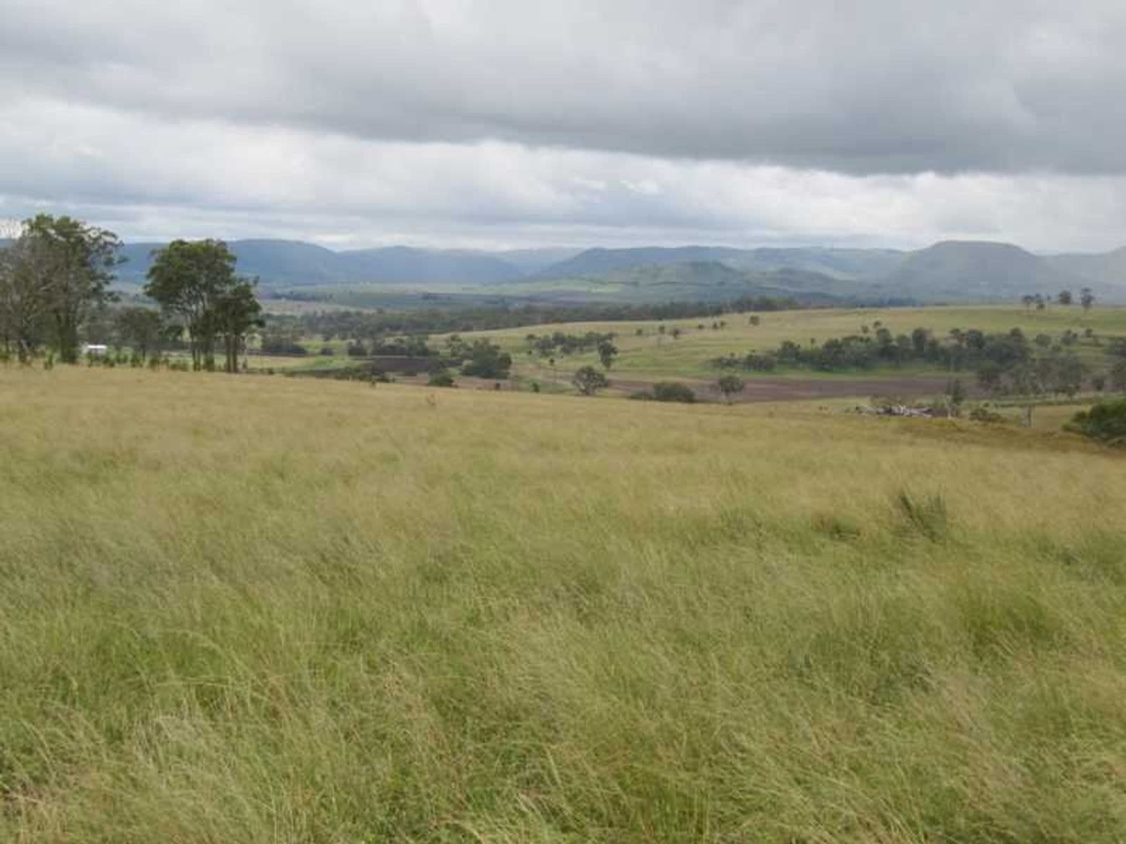 Long Swamp Road Elbow Valley QLD 4373, Long Swamp Road Elbow Valley - Thumbnail 7