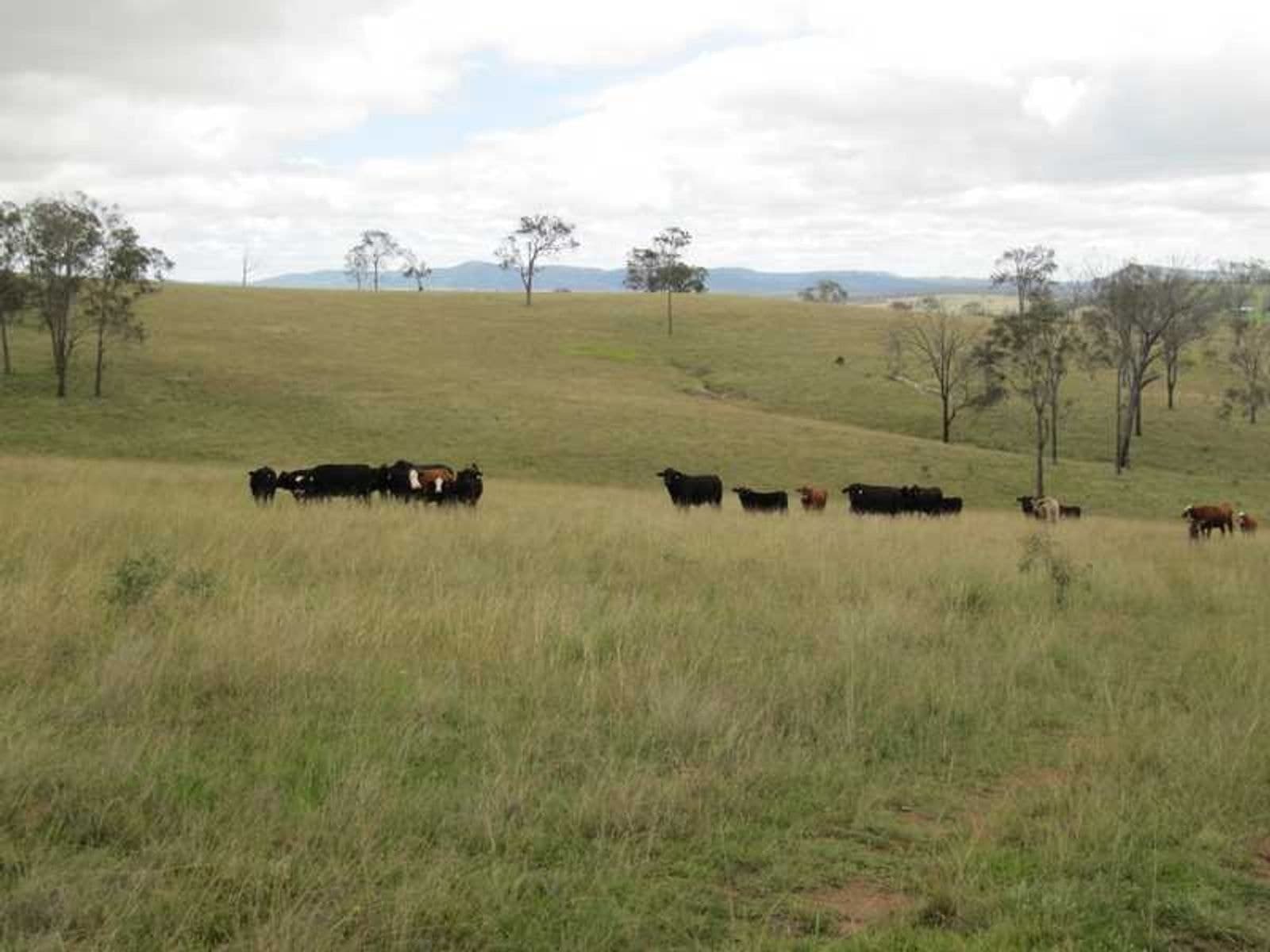 Long Swamp Road Elbow Valley QLD 4373, Long Swamp Road Elbow Valley - Thumbnail 8