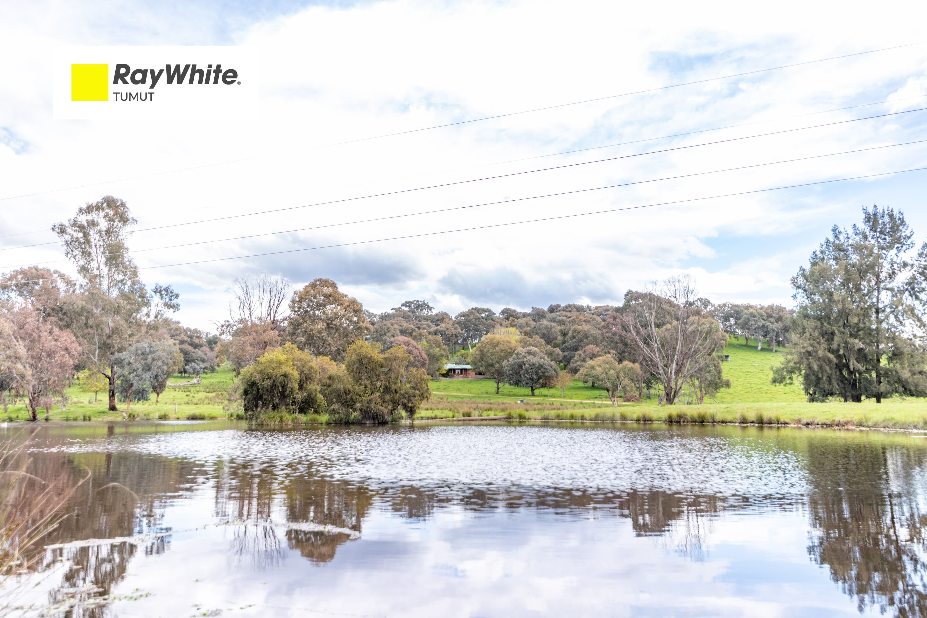 113 Gocup Farms Road, Gocup NSW 2720, Gocup - Image 1