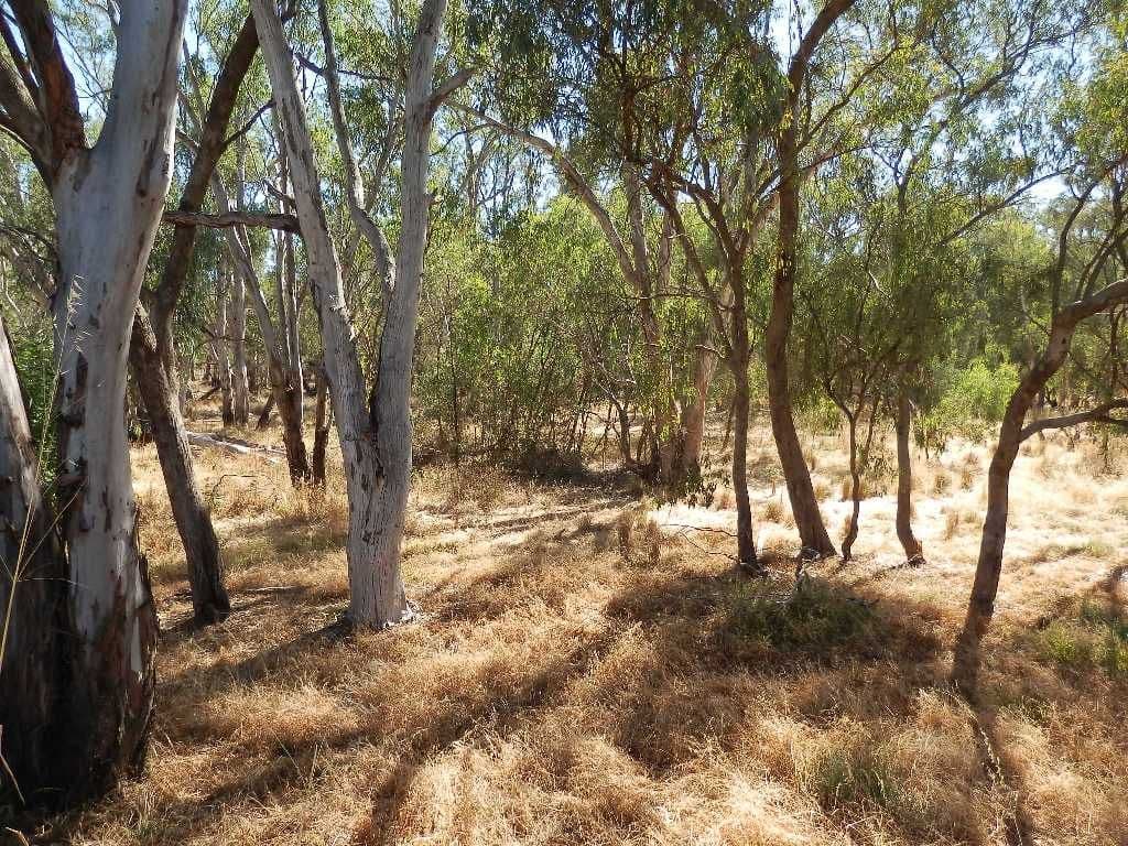 136 Hovell Street, ECHUCA VIC 3564, Echuca - Thumbnail 3