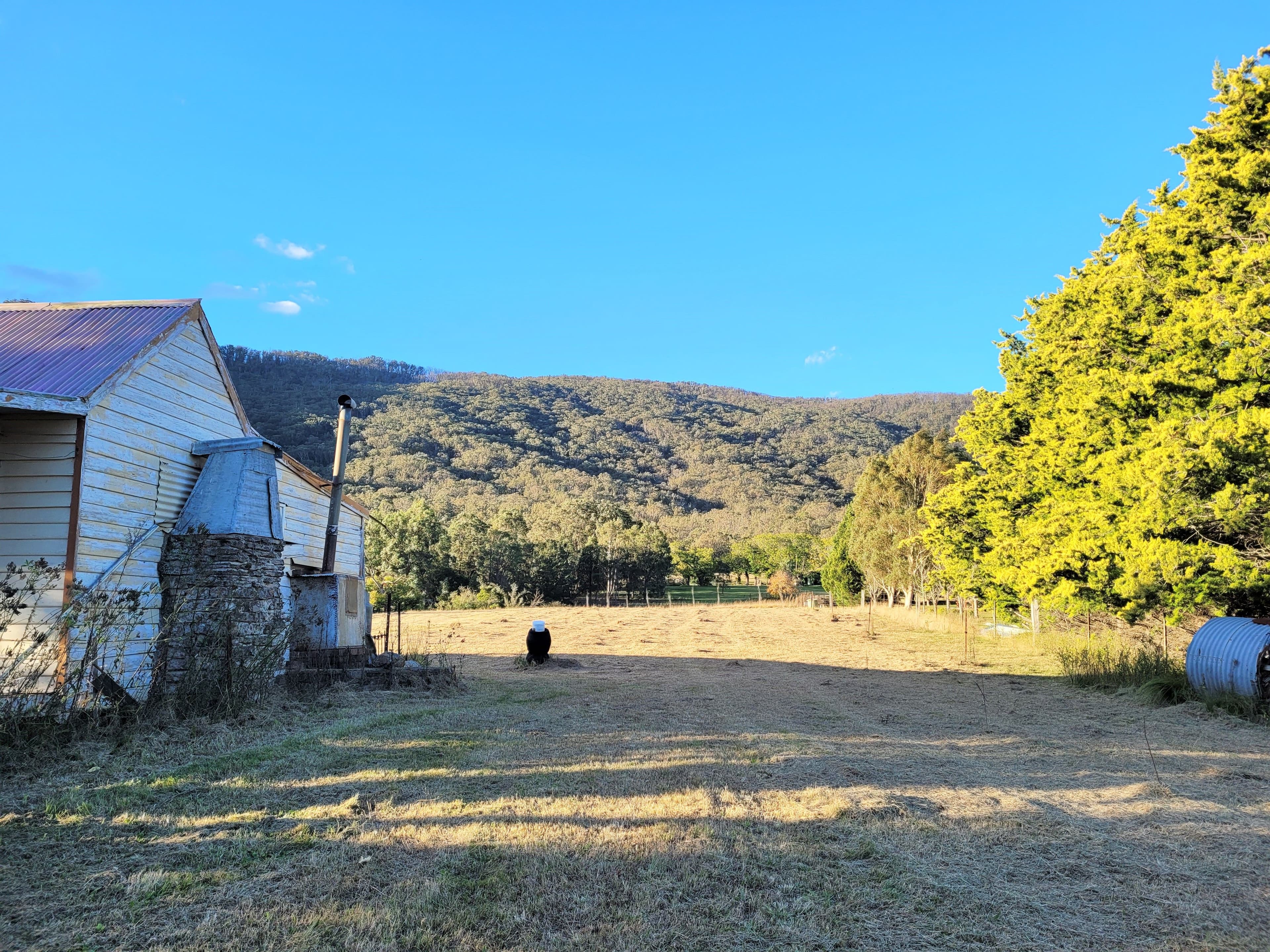 31 Hospital Hill Road, Araluen NSW 2622, Araluen - Thumbnail 3