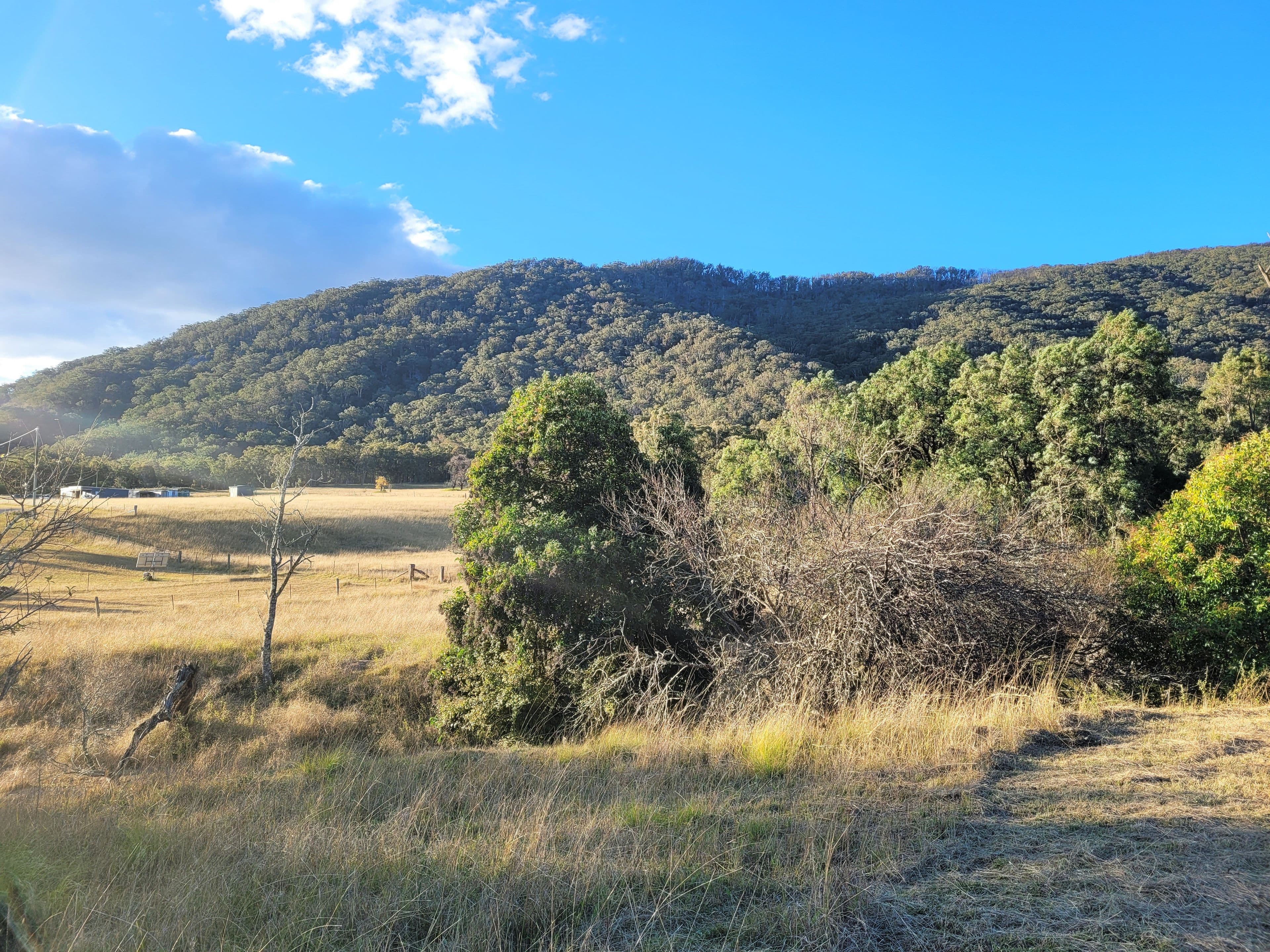 31 Hospital Hill Road, Araluen NSW 2622, Araluen - Thumbnail 5