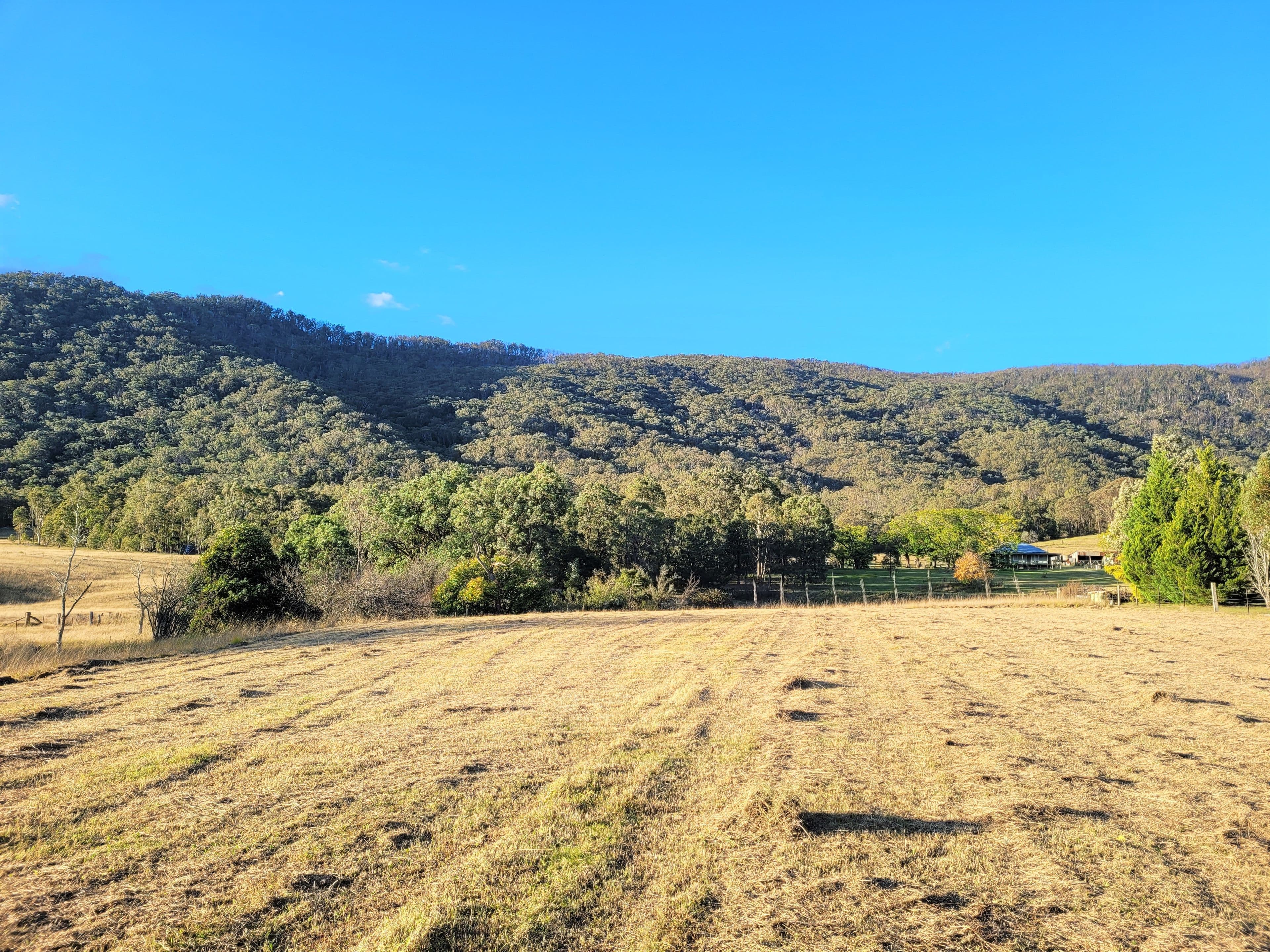 31 Hospital Hill Road, Araluen NSW 2622, Araluen - Thumbnail 6