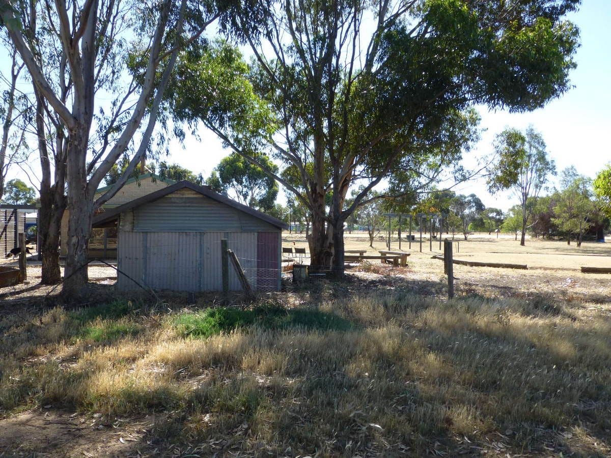 1444 Mt Terrick Road, Echuca VIC 3564, Echuca - Thumbnail 5