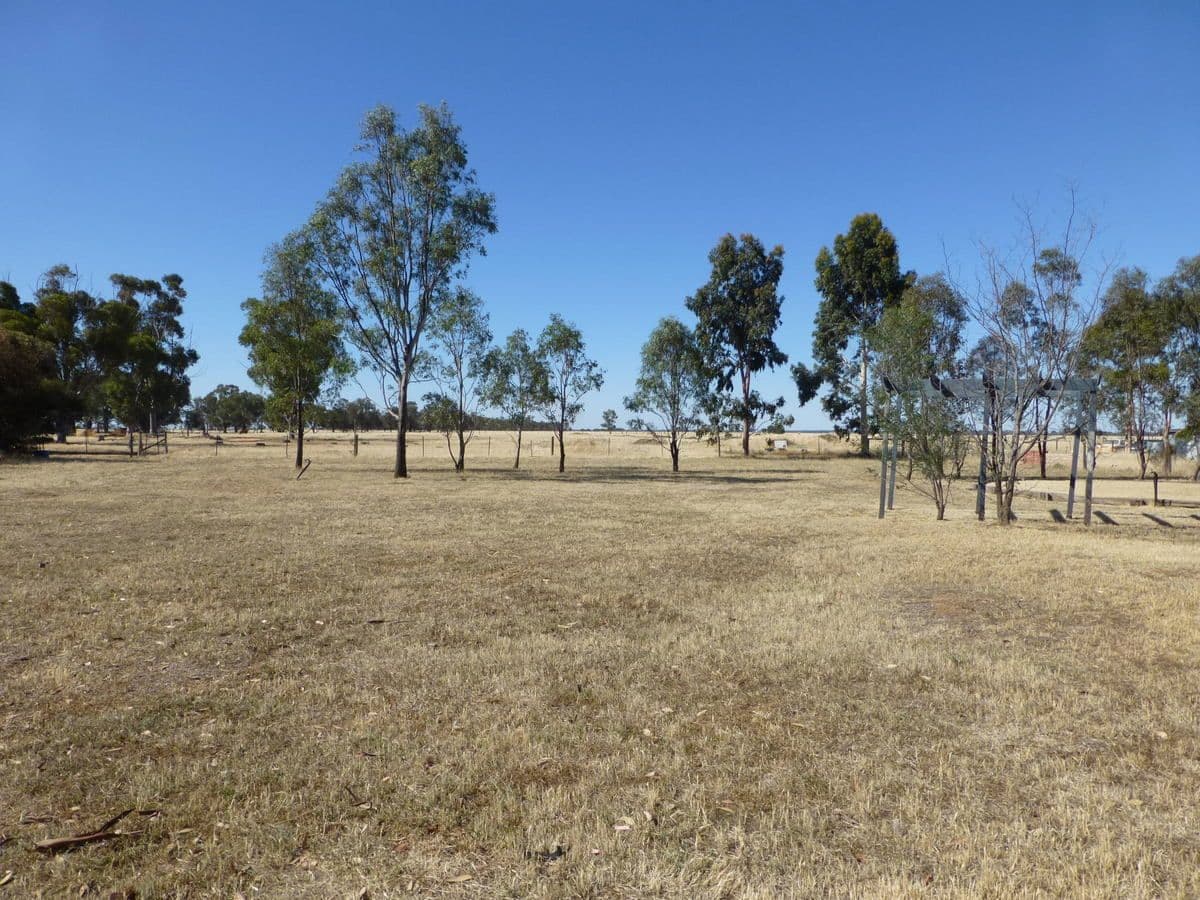 1444 Mt Terrick Road, Echuca VIC 3564, Echuca - Thumbnail 8
