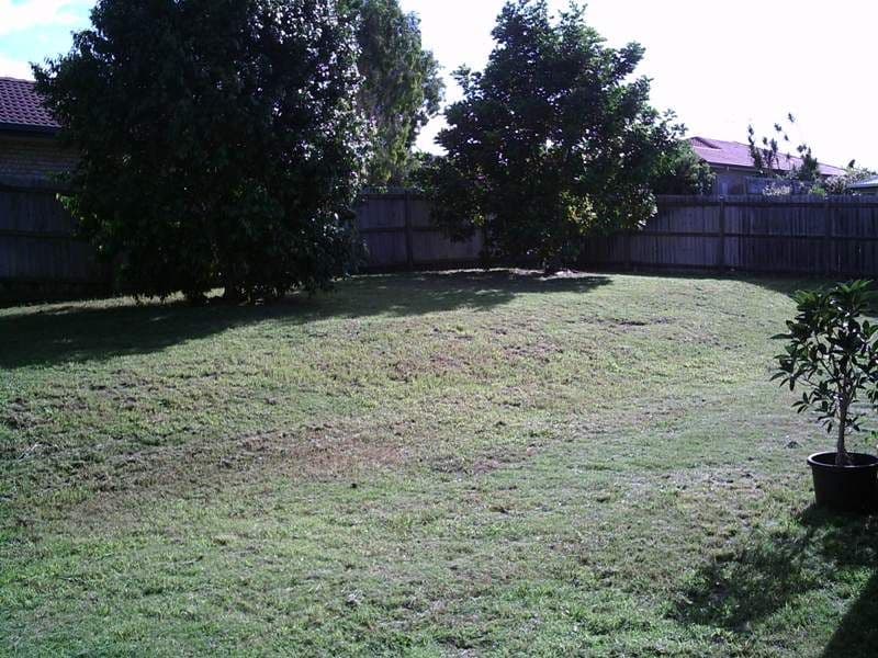 74 Rokeby Drive, PARKINSON QLD 4115, Parkinson - Thumbnail 4
