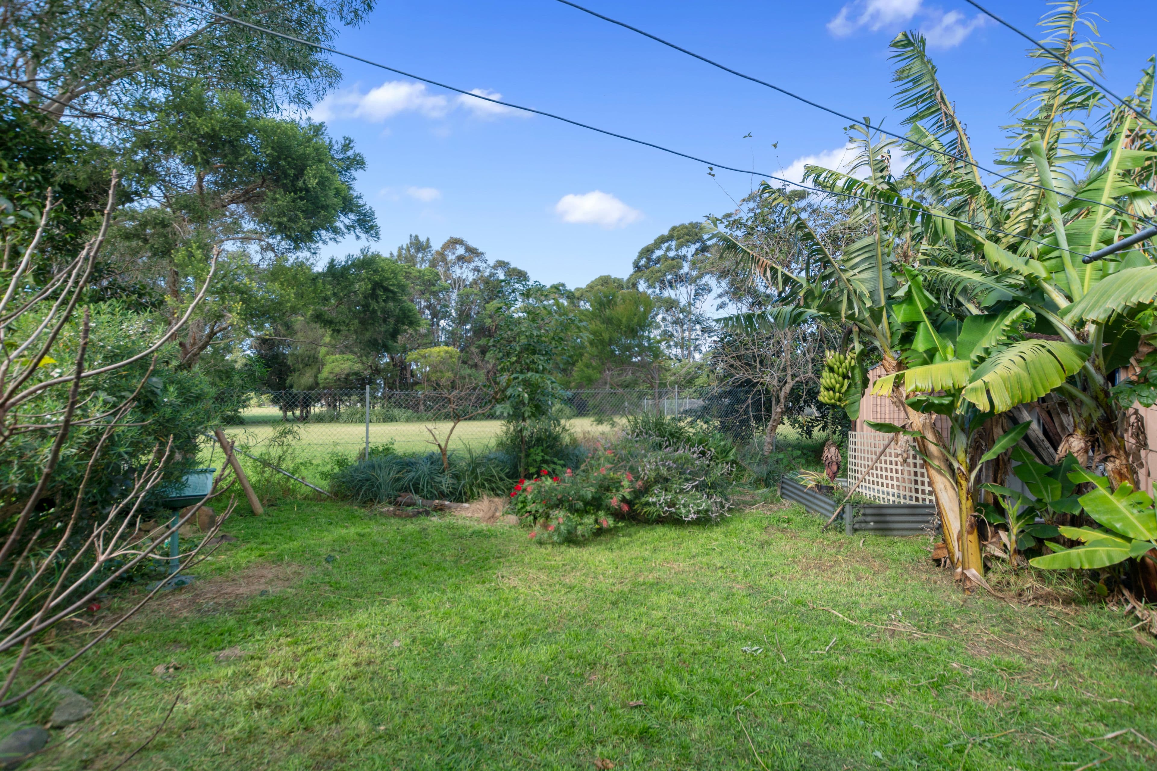 13 Benelong Street, Bulli NSW 2516, Bulli - Thumbnail 8