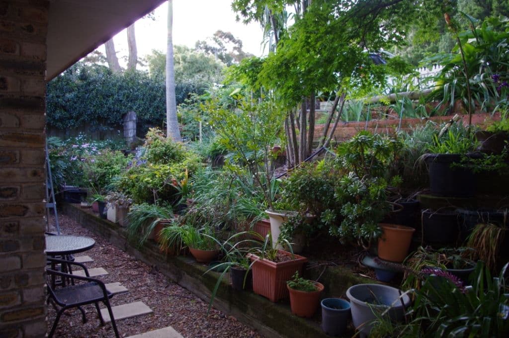 35 Rainridge Road, KURRAJONG HEIGHTS NSW 2758, Kurrajong Heights - Thumbnail 7