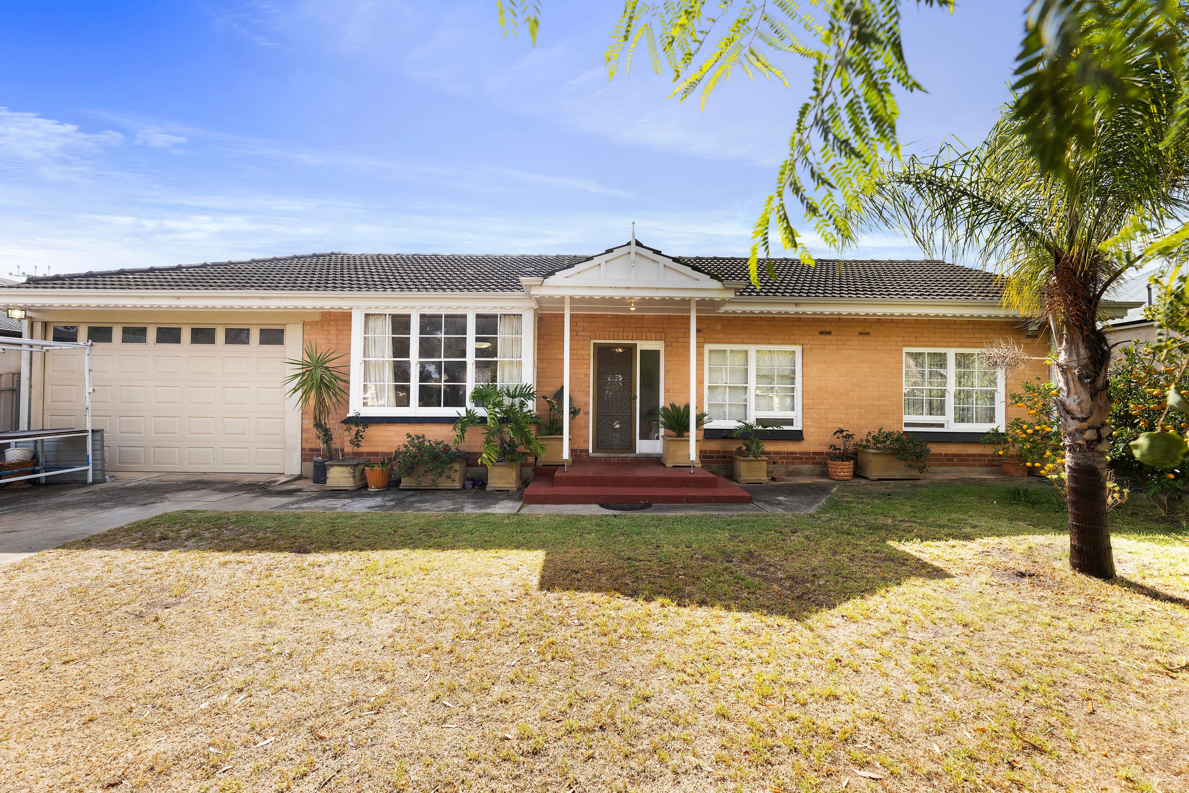 29 Second Avenue, Payneham South SA 5070, Payneham South - Thumbnail 5
