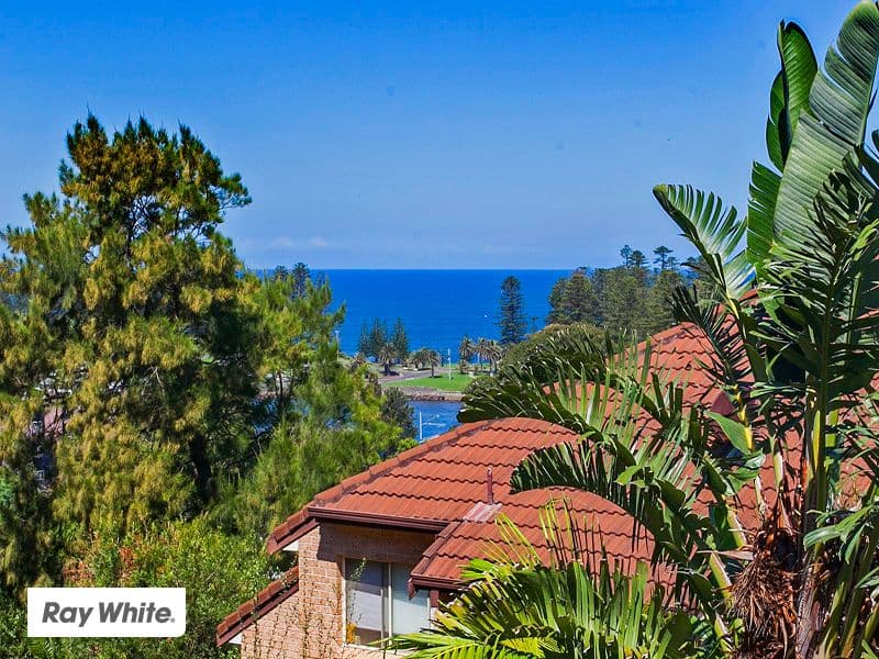 19 Meares Place, KIAMA NSW 2533, Kiama - Thumbnail 6