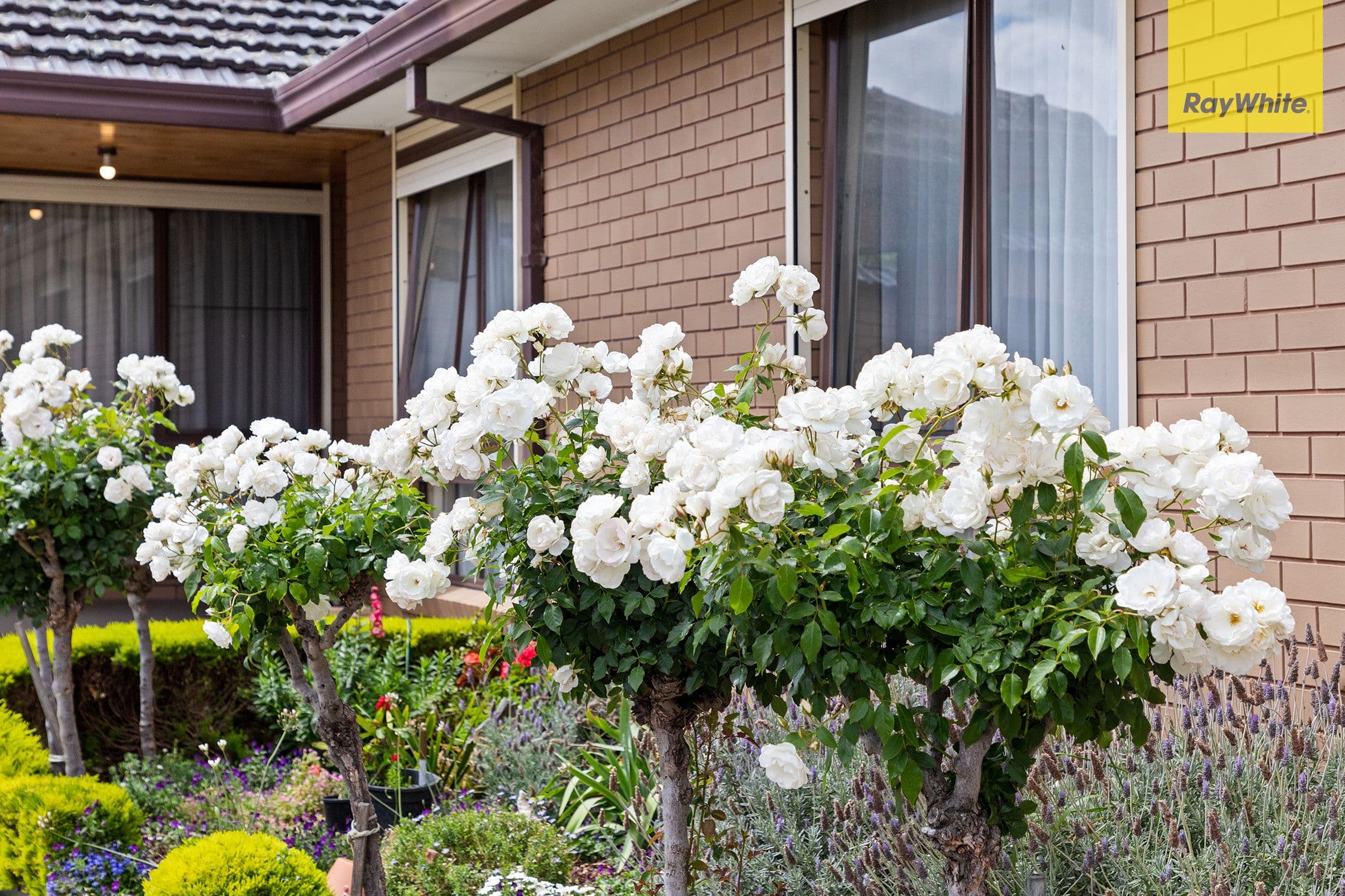 5 Gardner Court, Albanvale VIC 3021, Albanvale - Thumbnail 3