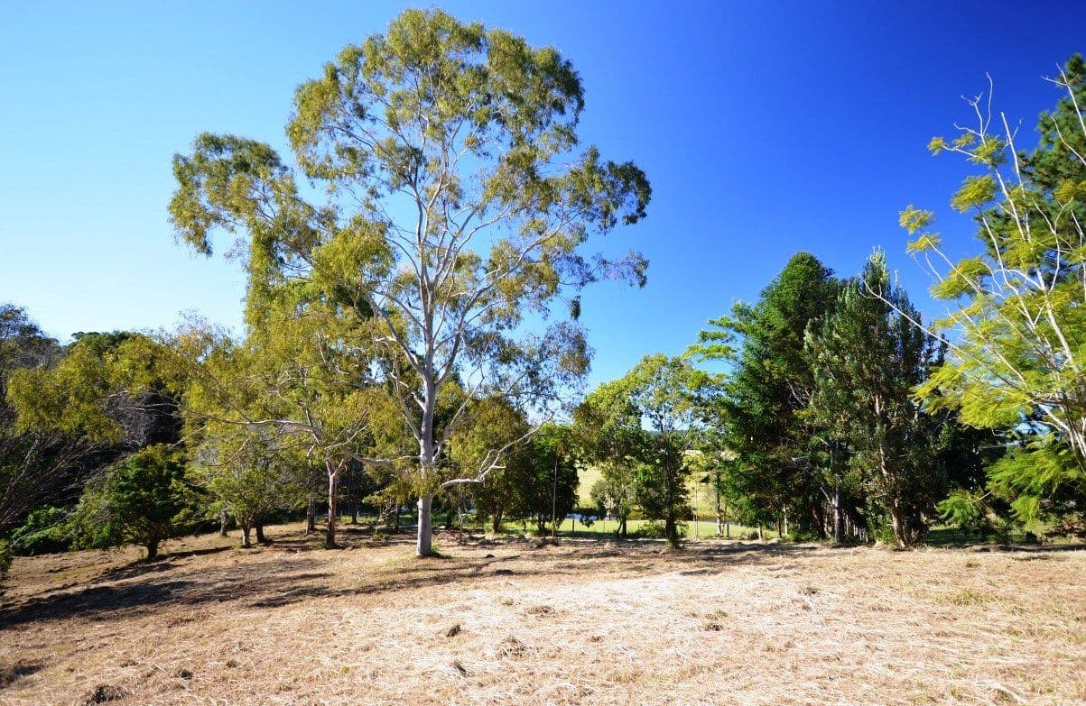 11 Gordon Road, Raleigh NSW 2454, Raleigh - Thumbnail 2