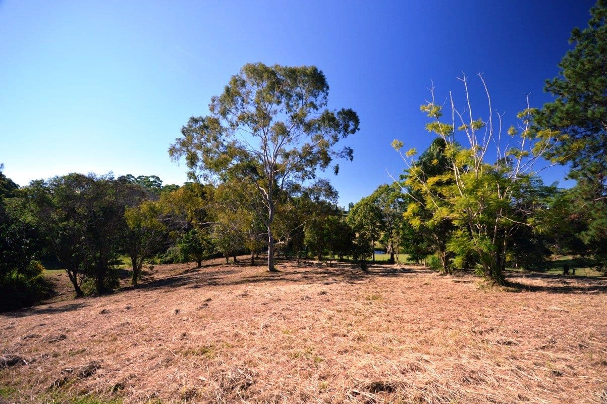 11 Gordon Road, Raleigh NSW 2454, Raleigh - Thumbnail 6
