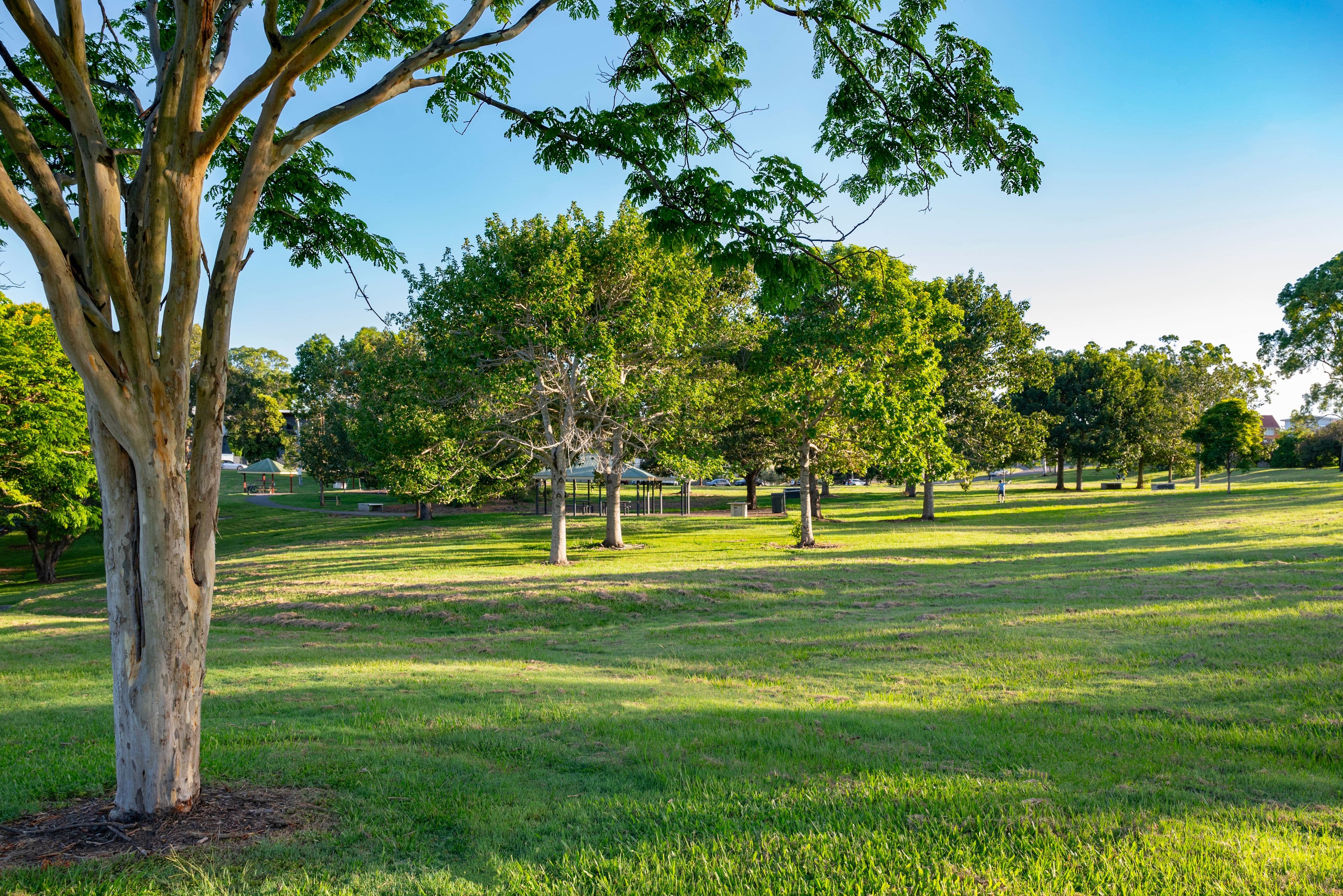4 Aubrey Street, Camp Hill QLD 4152, Camp Hill - Thumbnail 3