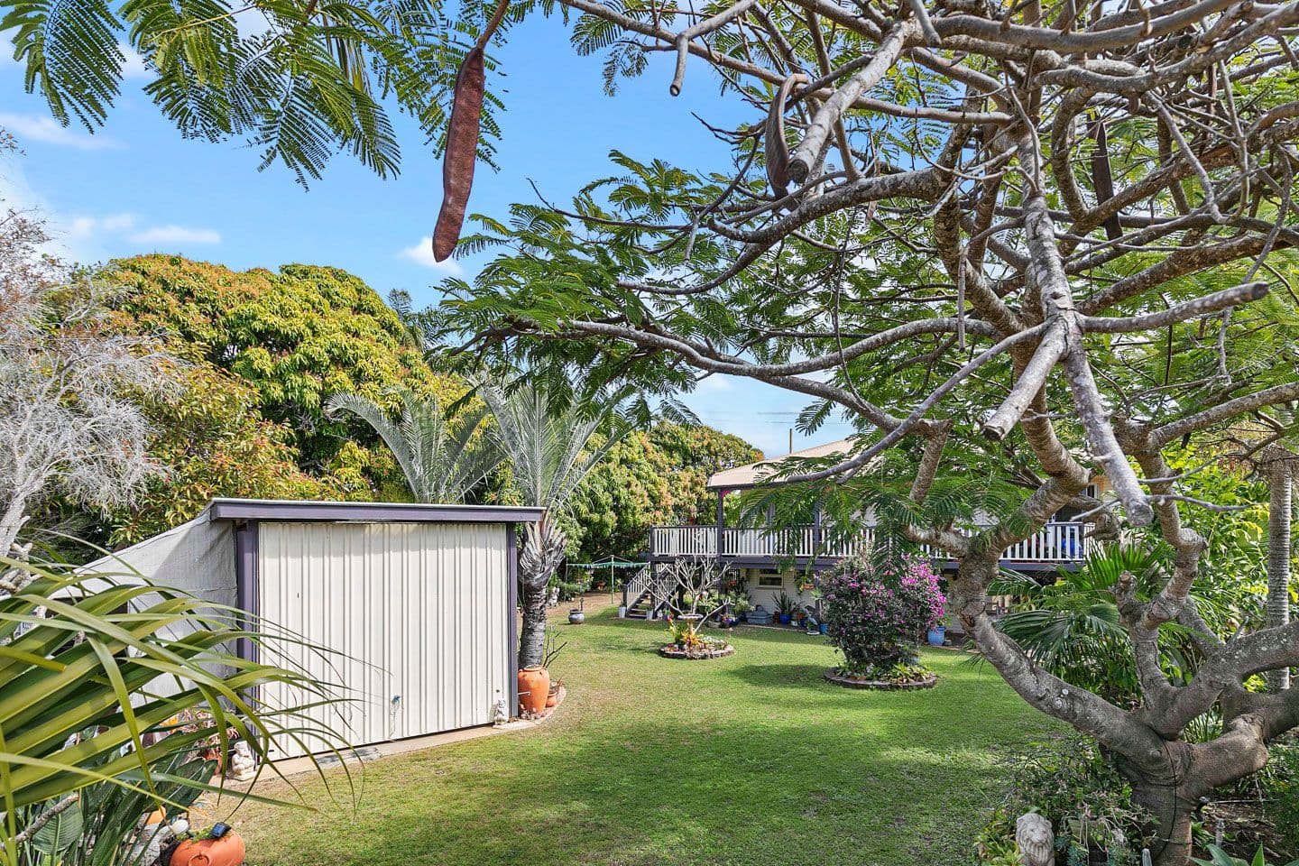 85 Corfield Street, Point Vernon QLD 4655, Point Vernon - Thumbnail 3