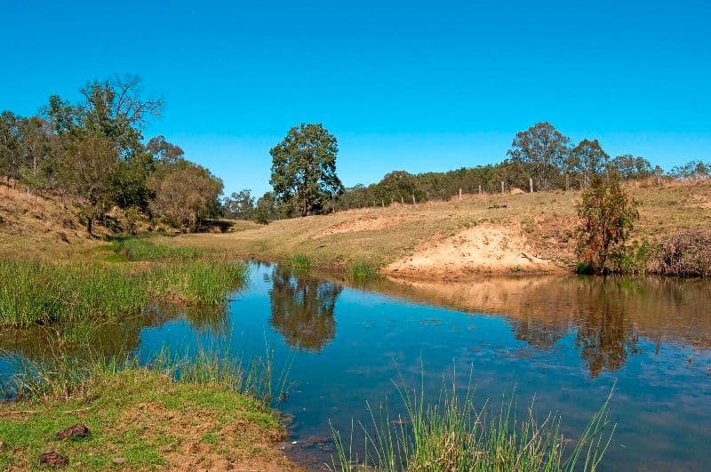 1949 Ipswich Boonah Road, PEAK CROSSING QLD 4306, Peak Crossing - Thumbnail 4