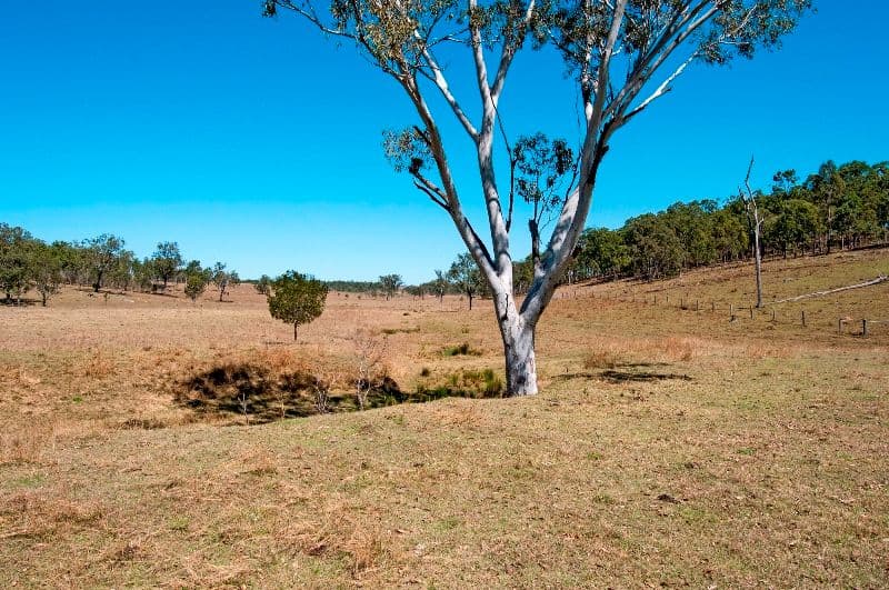 1949 Ipswich Boonah Road, PEAK CROSSING QLD 4306, Peak Crossing - Thumbnail 5