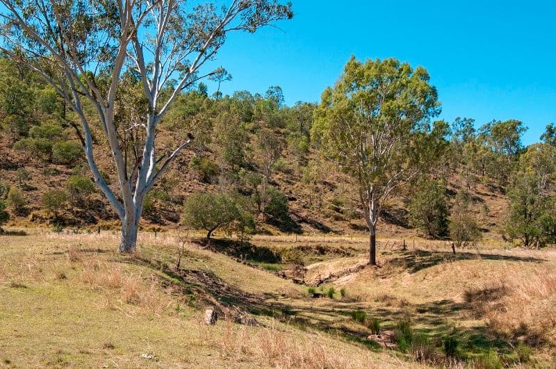 1949 Ipswich Boonah Road, PEAK CROSSING QLD 4306, Peak Crossing - Thumbnail 6