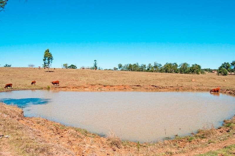 1949 Ipswich Boonah Road, PEAK CROSSING QLD 4306, Peak Crossing - Thumbnail 7