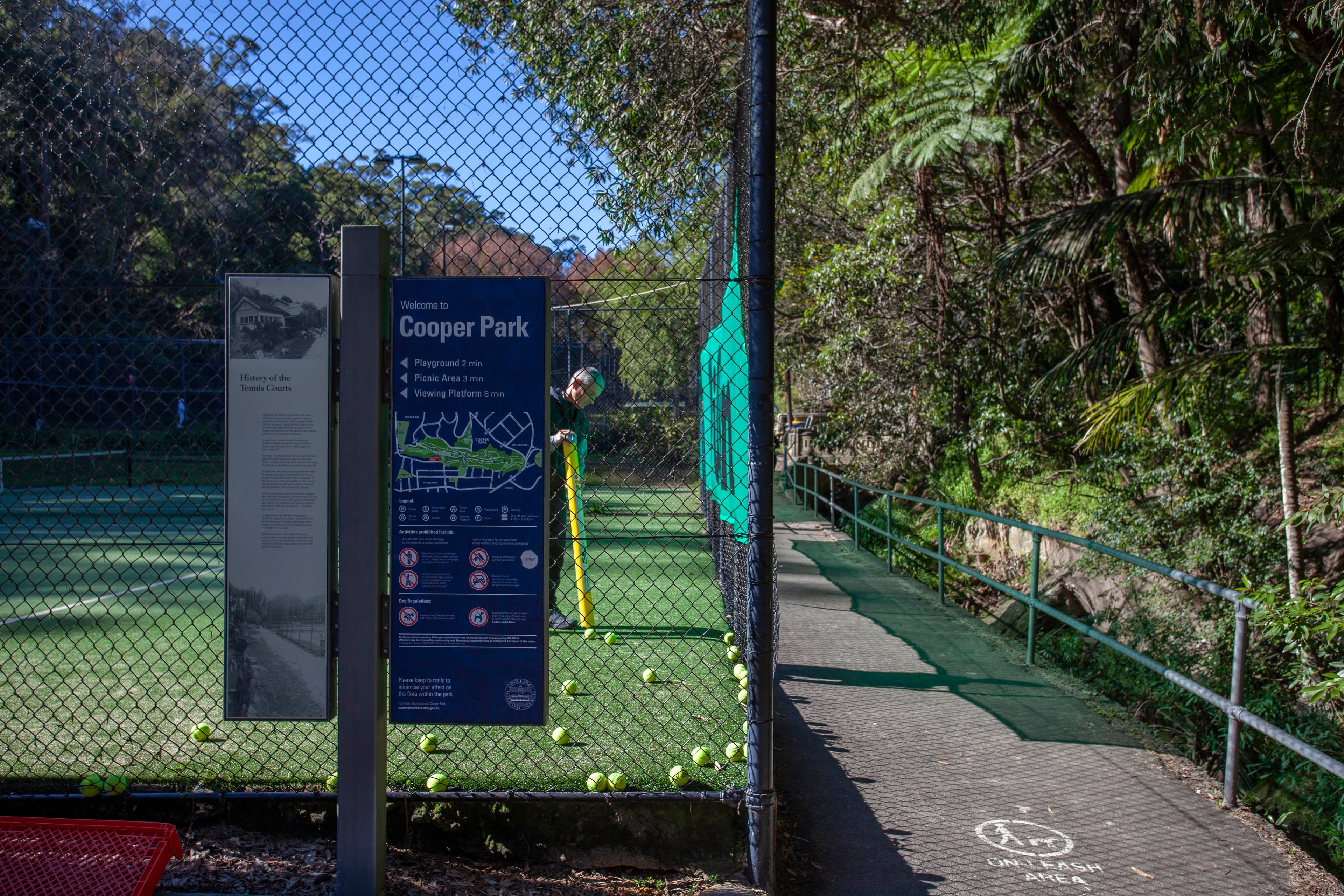 206 Victoria Road, Bellevue Hill NSW 2023, Bellevue Hill - Thumbnail 7