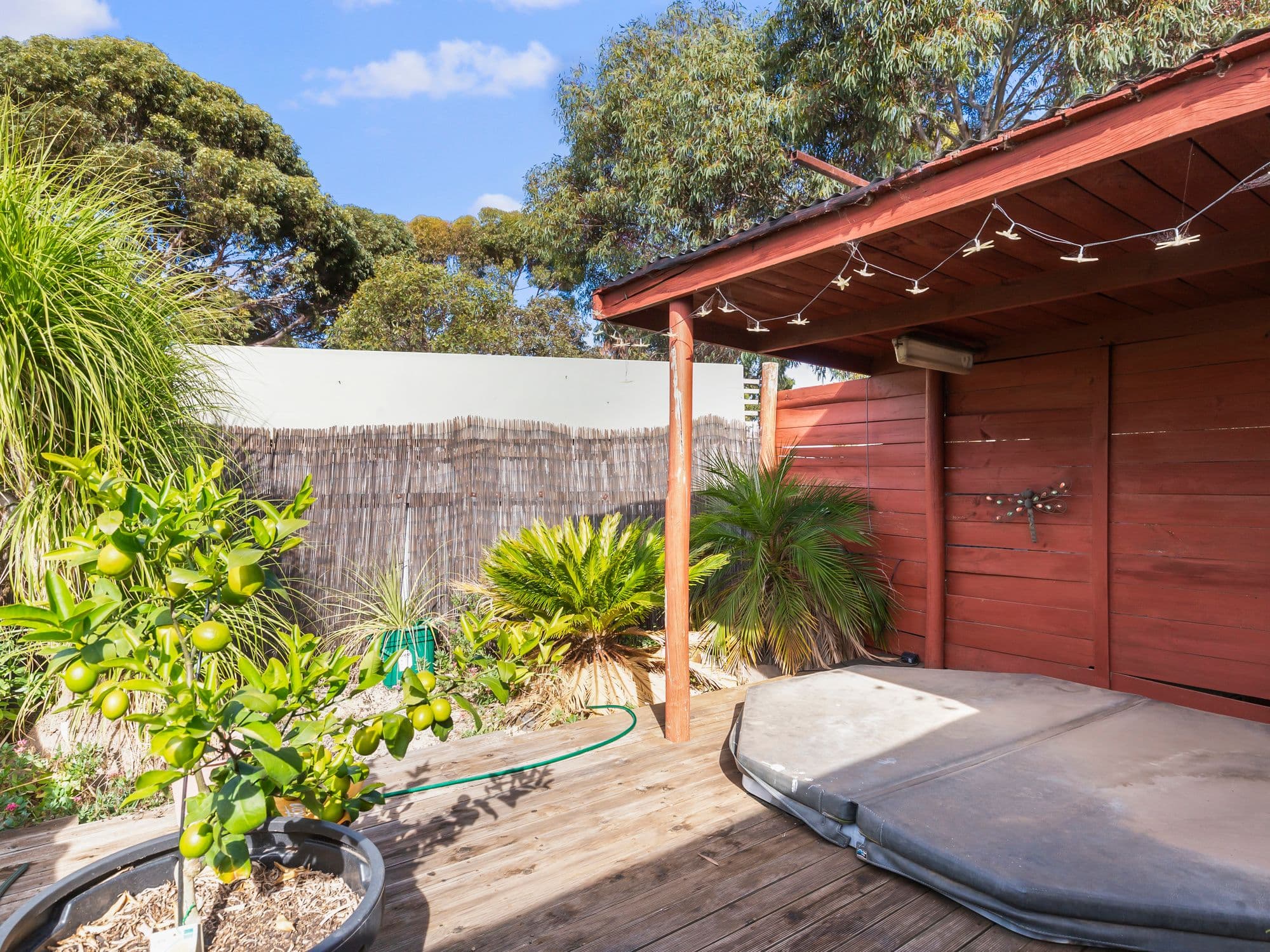 10 Claremont Street, Morphett Vale SA 5162, Morphett Vale - Thumbnail 2
