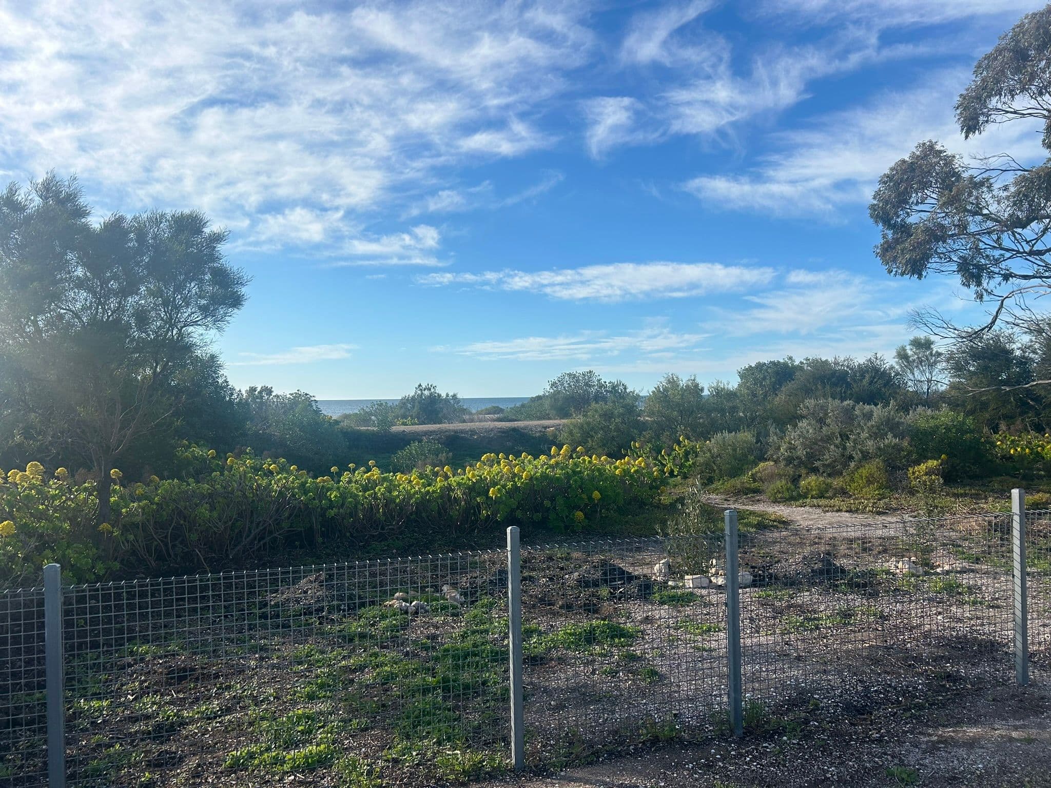 6 Grundy Street, Sheaoak Flat SA 5581, Sheaoak Flat - Thumbnail 3