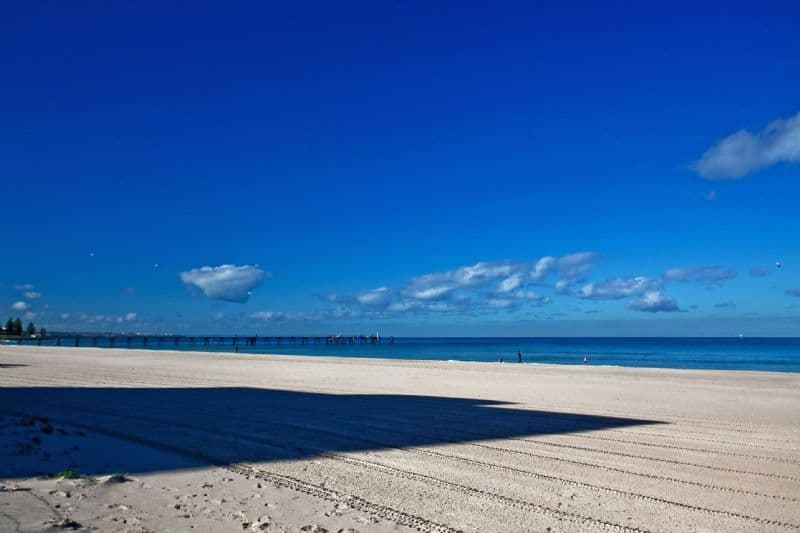 39-1 Chappell Drive, GLENELG SA 5045, Glenelg - Thumbnail 4