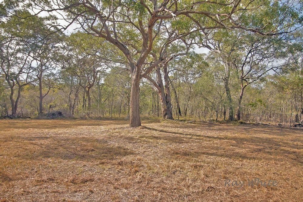 56 Rafting Ground Road, Agnes Water QLD 4677, Agnes Water - Thumbnail 4