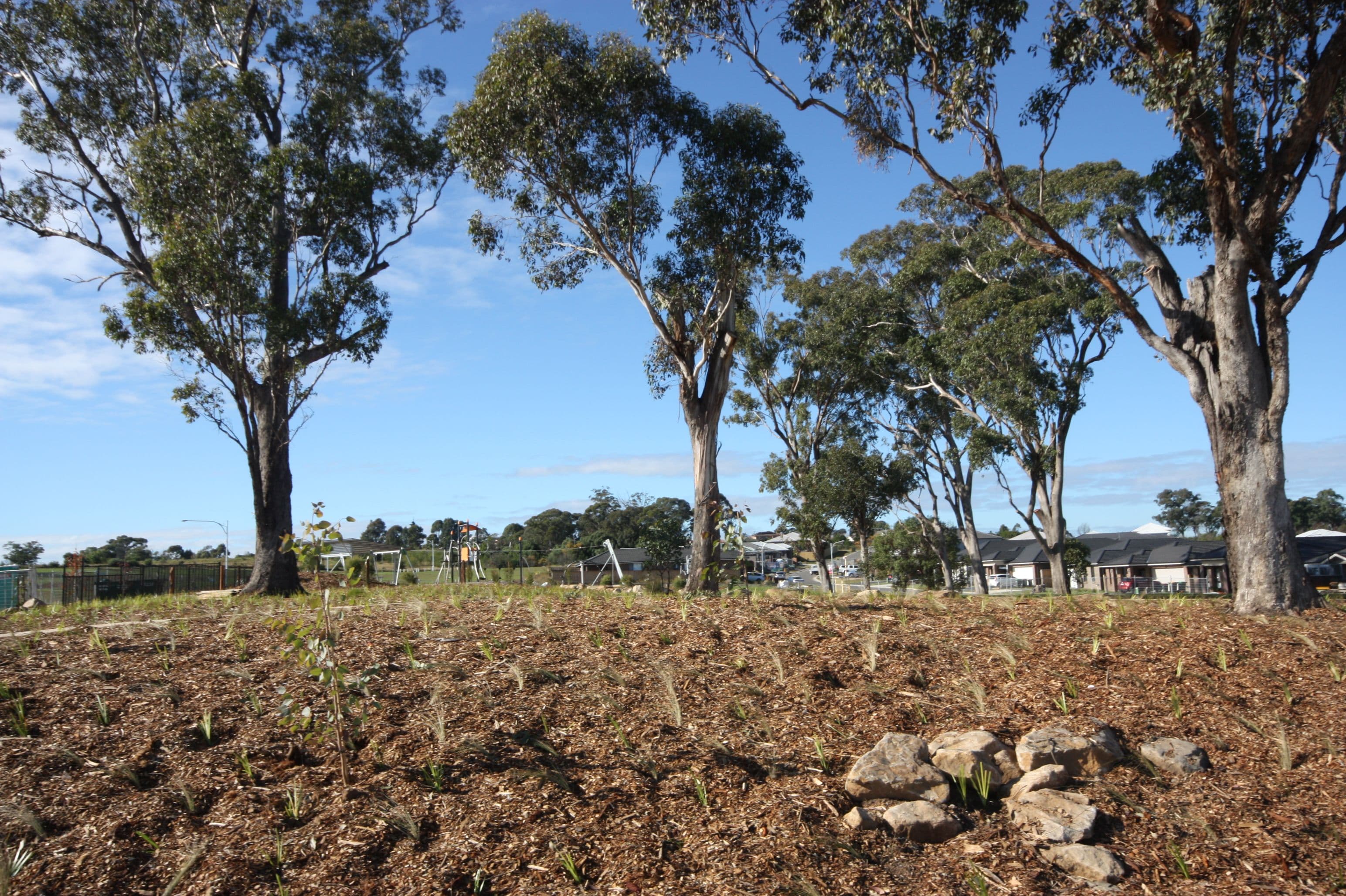 Lot 421 Kingsman Avenue, Elderslie NSW 2570, Elderslie - Thumbnail 2