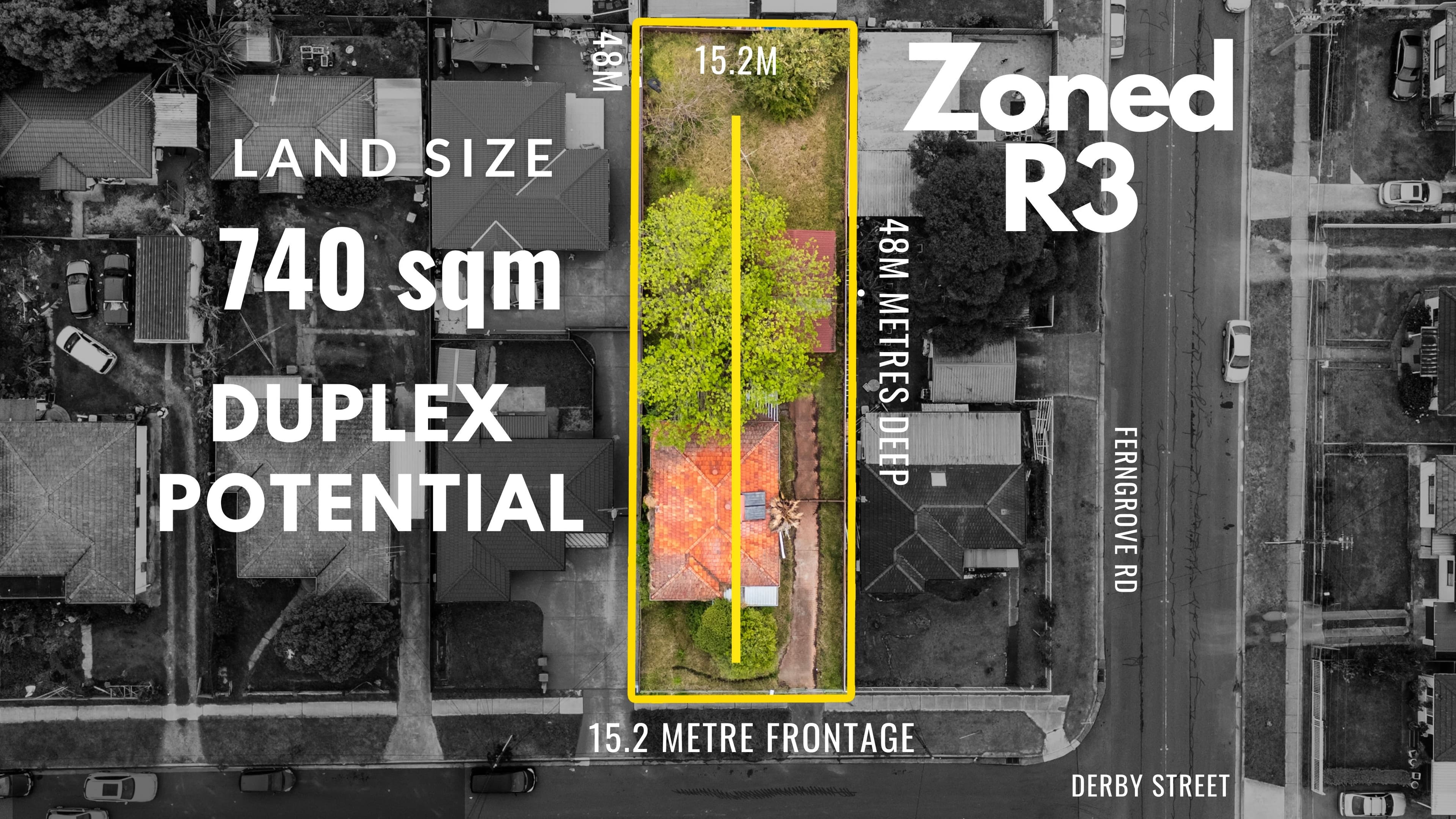 3 Derby Street, Canley Heights NSW 2166, Canley Heights - Image 1