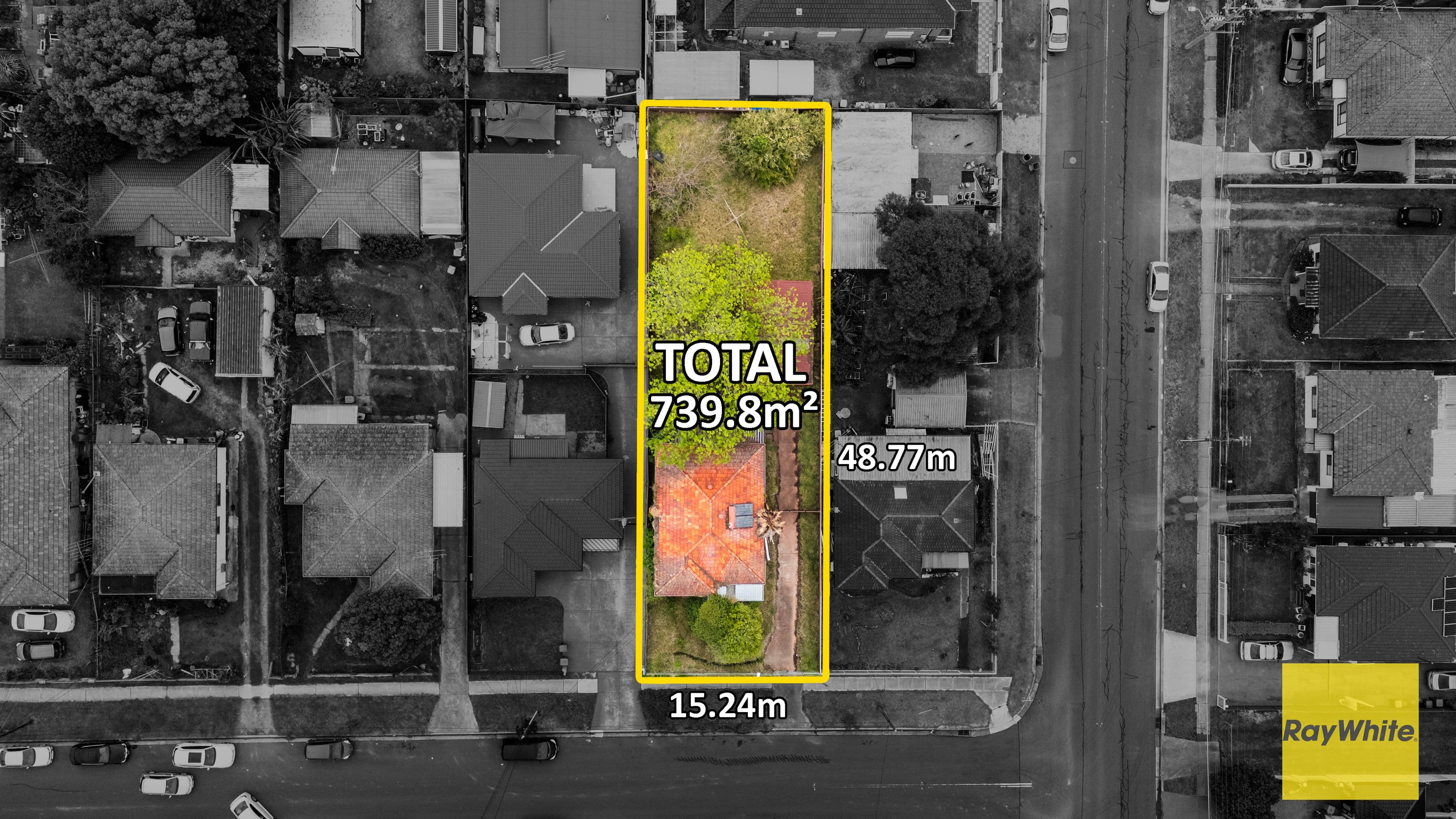 3 Derby Street, Canley Heights NSW 2166, Canley Heights - Thumbnail 7