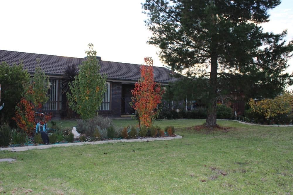 6 Fifield Close, CULCAIRN NSW 2660, Culcairn - Image 1