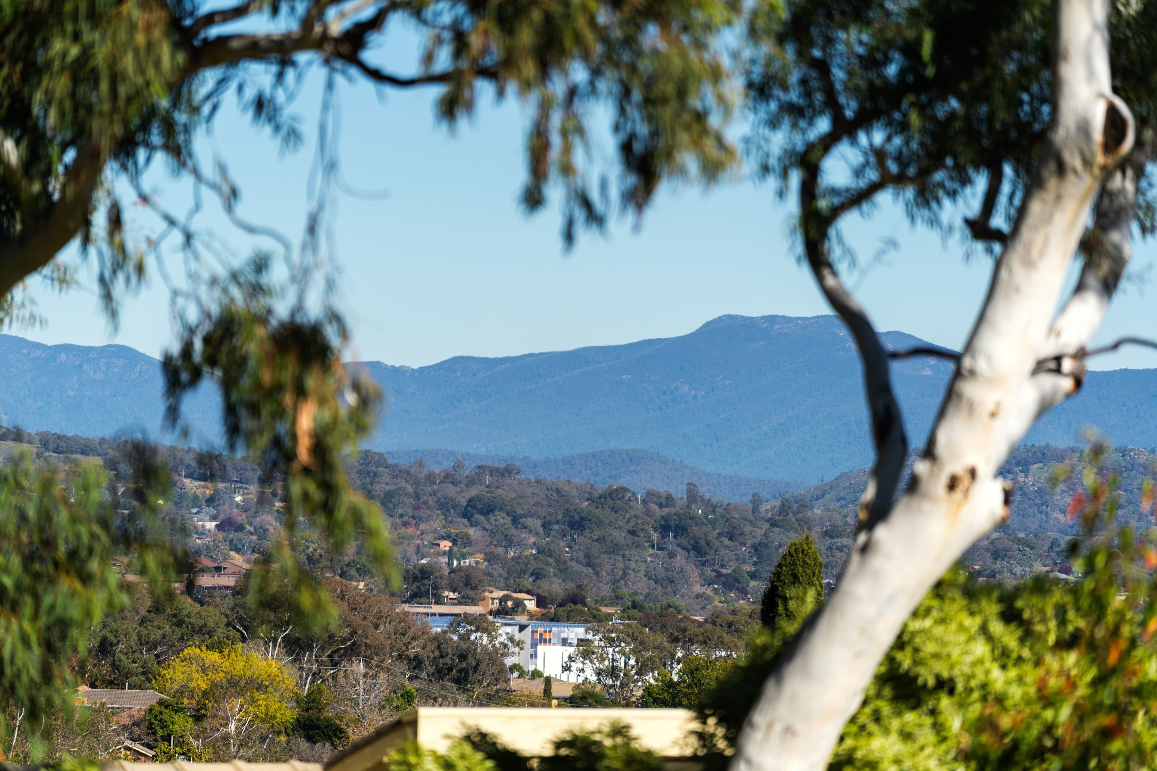 52 Curlewis Crescent, Garran ACT 2605, Garran - Thumbnail 6
