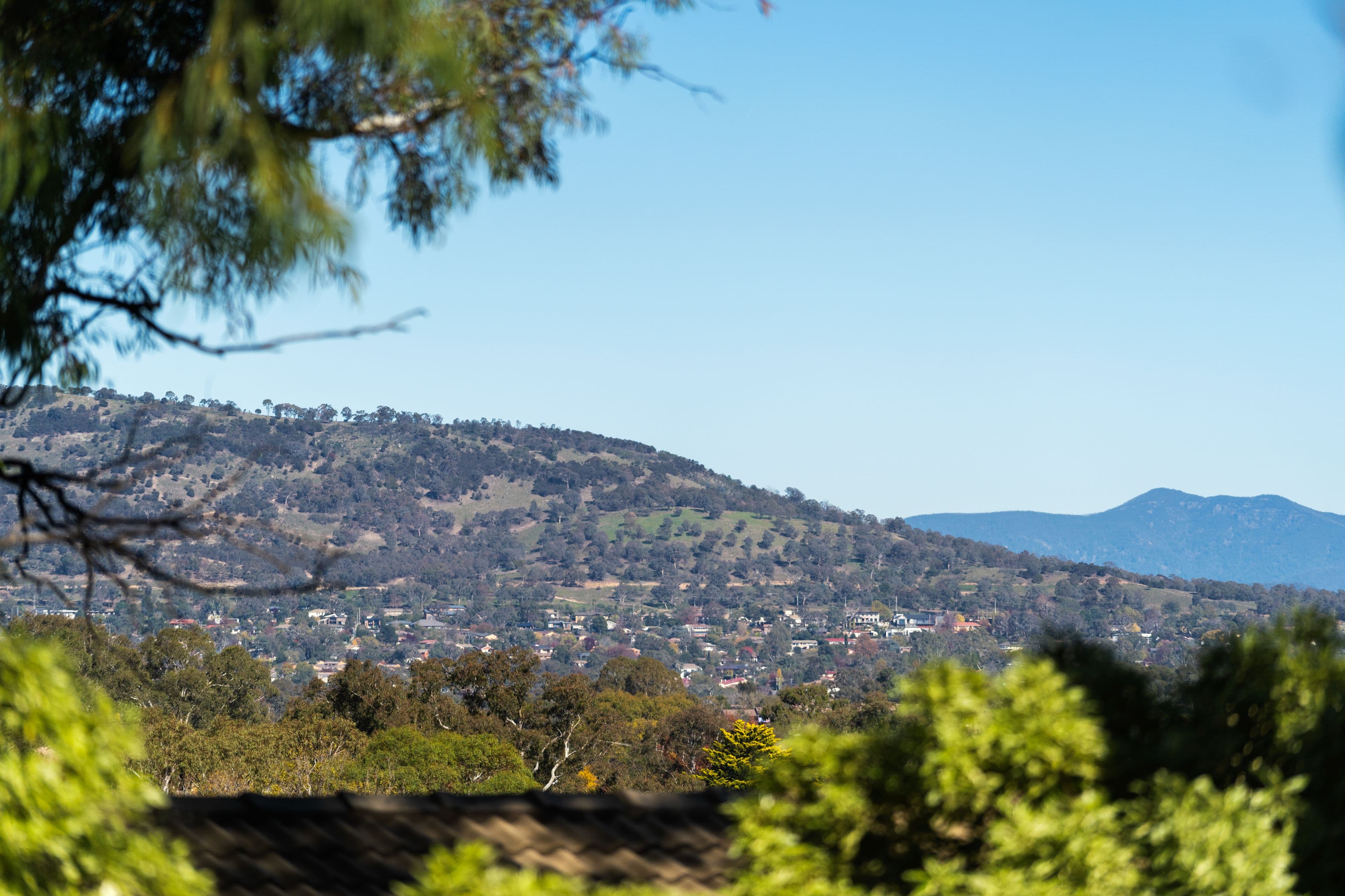 52 Curlewis Crescent, Garran ACT 2605, Garran - Thumbnail 7