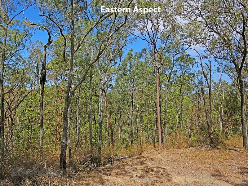 479 Savages Road, Brookfield QLD 4069, Brookfield - Thumbnail 2
