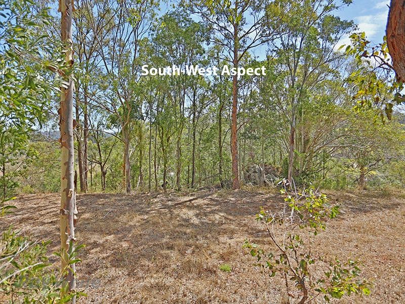 479 Savages Road, Brookfield QLD 4069, Brookfield - Thumbnail 4