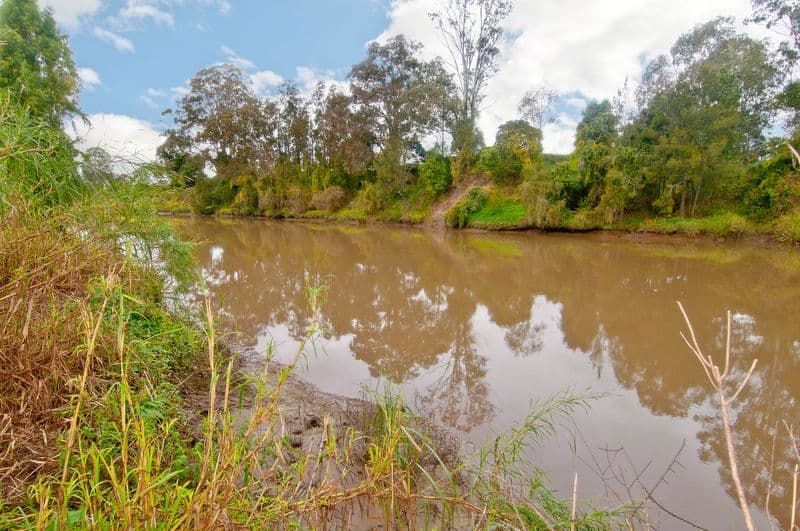 87 Tygum Road, WATERFORD QLD 4133, Waterford West - Thumbnail 2