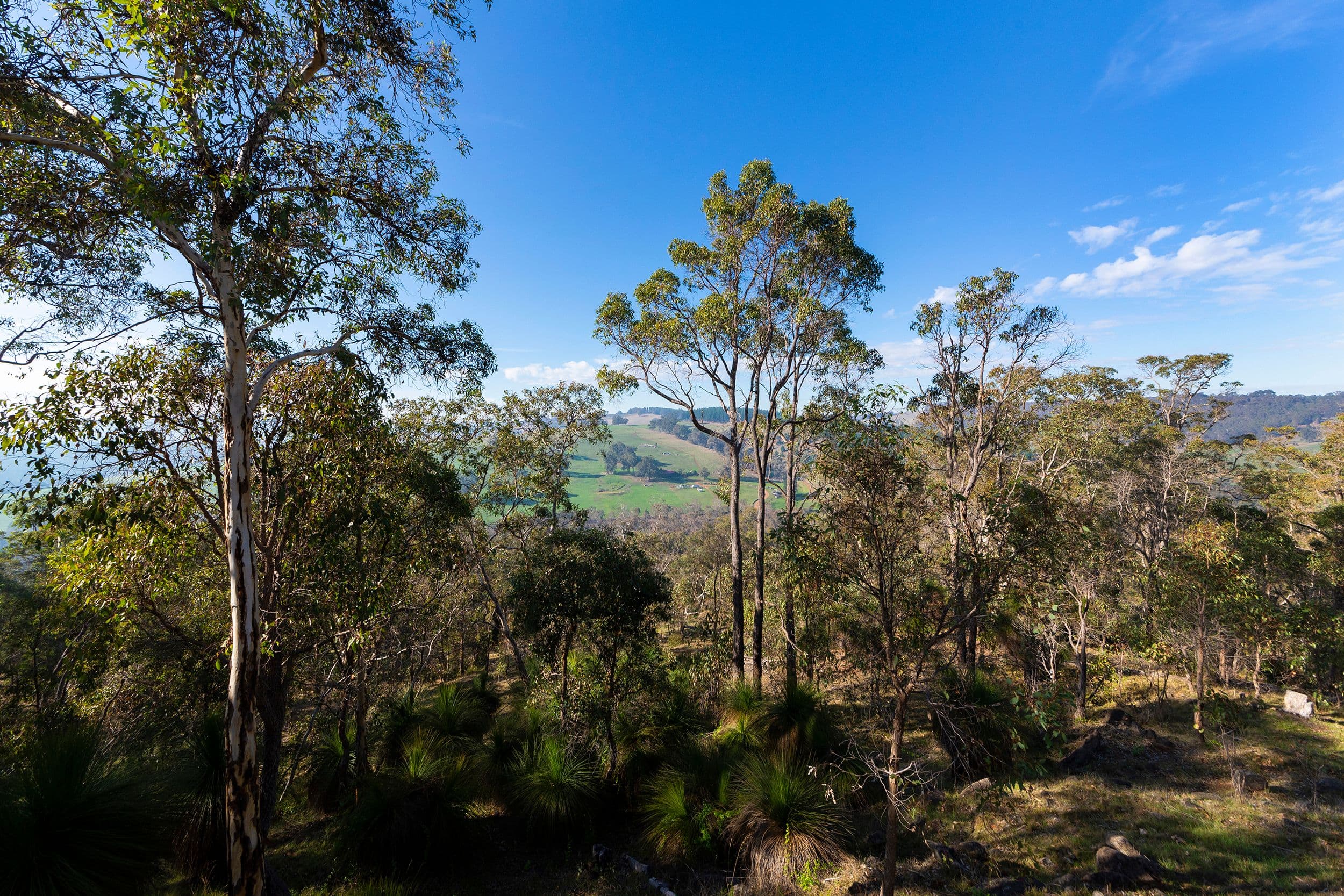 5 Savages Creek Road, Bridgetown WA 6255, Bridgetown - Thumbnail 8
